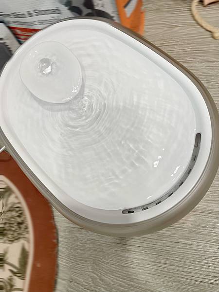 1711963361-4220081539-g_n-ec8xw