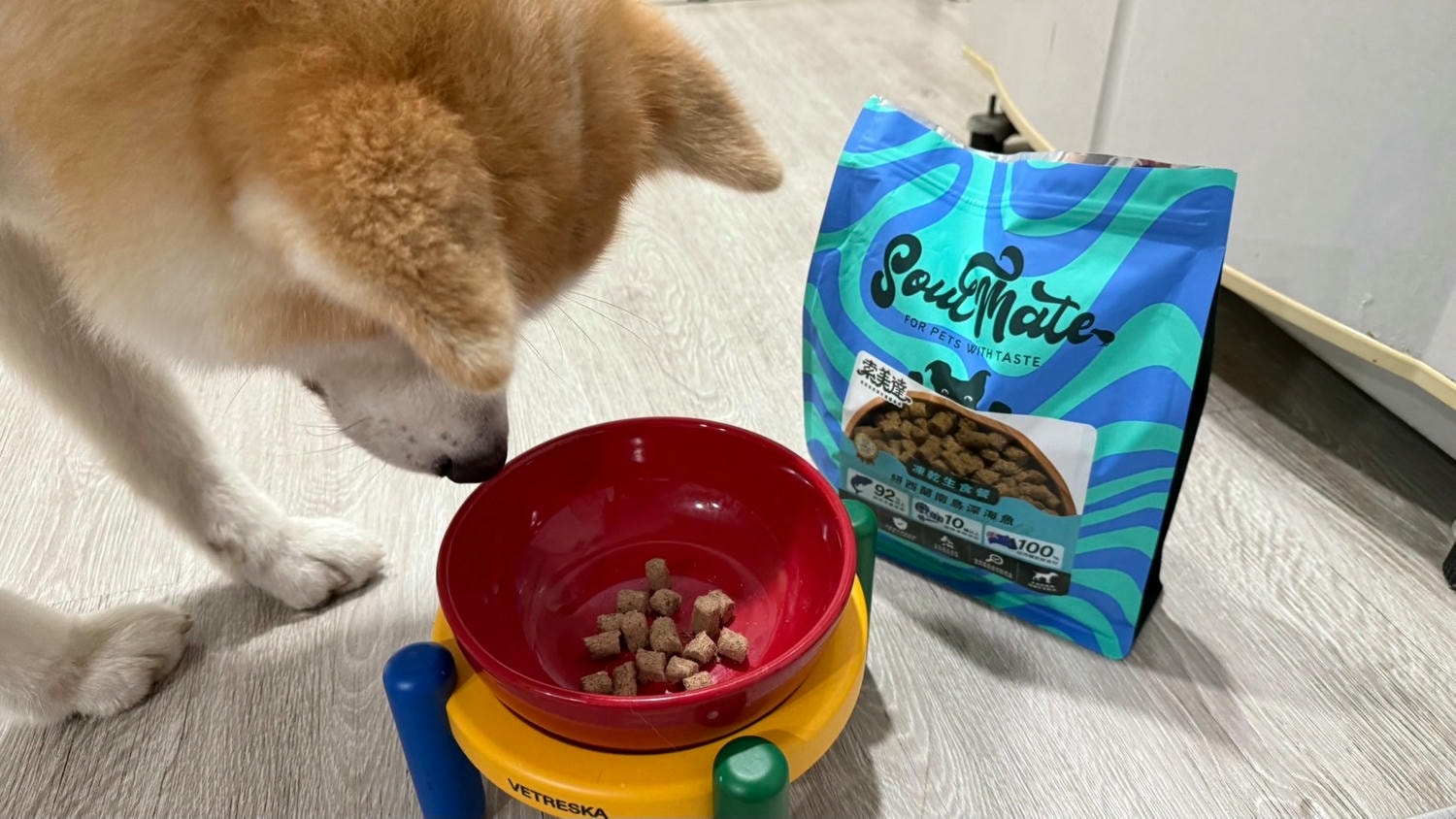 【飼料】品果國際 索美達SoulMate|紐西蘭頂級犬糧 2025寵物開箱 索美達SoulMate飼料評價 犬用生食主餐推薦 狗狗凍乾餐分享 - 第15張圖