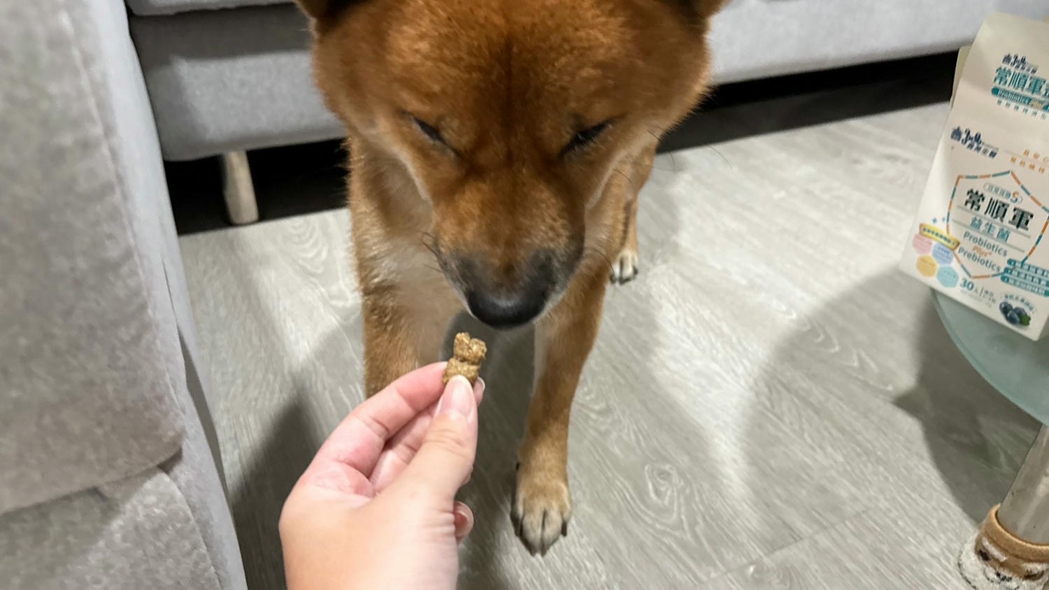 【飼料】品果國際 索美達SoulMate|紐西蘭頂級犬糧 2025寵物開箱 索美達SoulMate飼料評價 犬用生食主餐推薦 狗狗凍乾餐分享 - 第10張圖