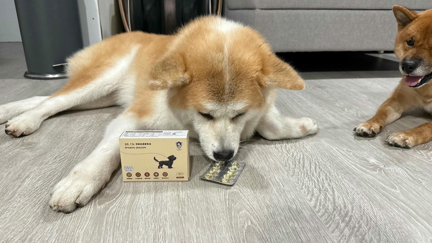 【寵物保健品】PET SHIELD寵物防護盾、95.1%頂級高濃度魚油、寵物魚油天花板、寵物魚油推薦 - 第8張圖 米穀