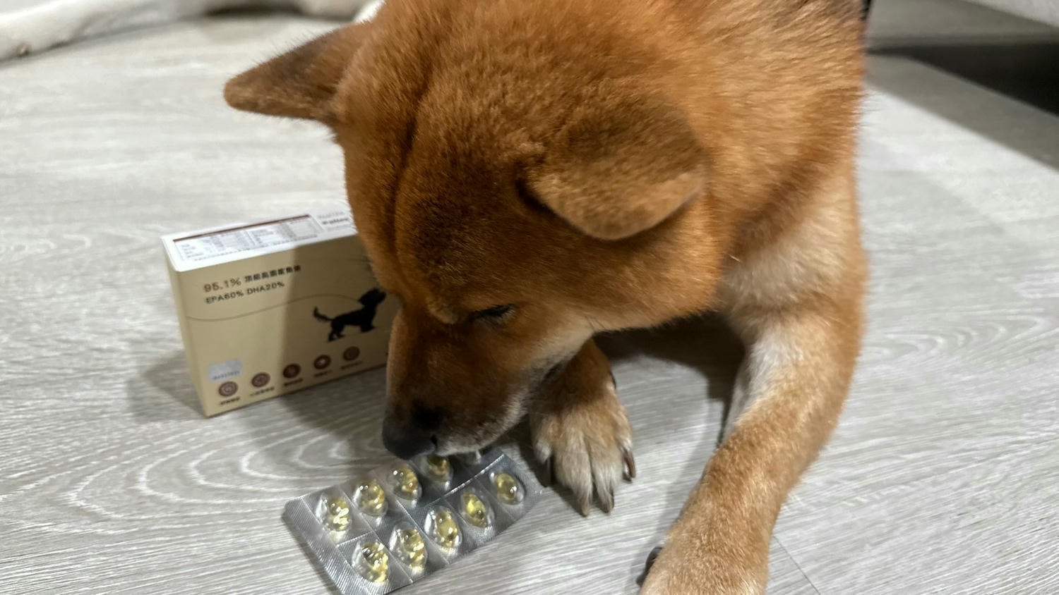 【寵物保健品】PET SHIELD寵物防護盾、95.1%頂級高濃度魚油、寵物魚油天花板、寵物魚油推薦 - 第5張圖 單顆膠囊