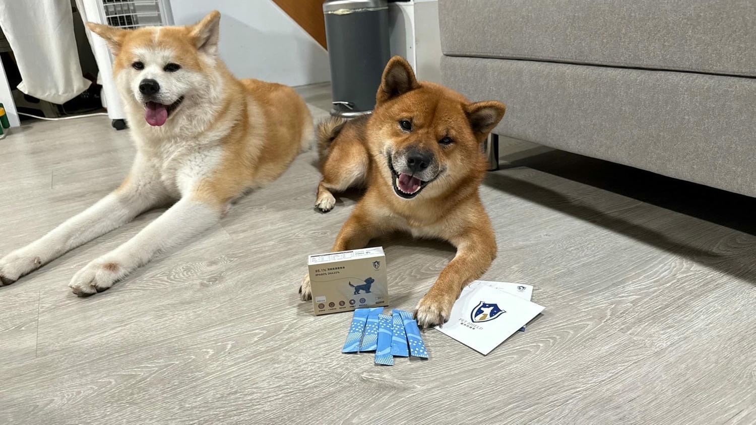 【寵物保健品】PET SHIELD寵物防護盾、95.1%頂級高濃度魚油、寵物魚油天花板、寵物魚油推薦 - 第1張圖 寵物防護盾 魚油