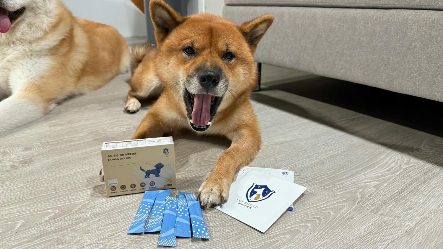 【寵物保健品】PET SHIELD寵物防護盾、95.1%頂級高濃度魚油、寵物魚油天花板、寵物魚油推薦 - 第13張圖 保健品贈品
