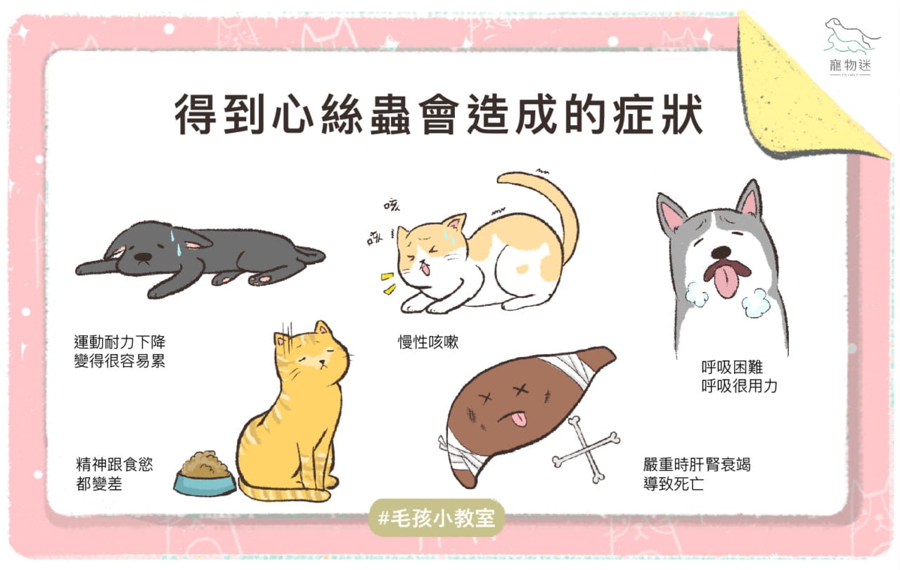 【好物推薦】鱷魚 防蚊戰士-蚊の驅除噴霧 噴一下就好 毛孩防蚊救星 室內防蚊推薦 科學防蚊第一品牌 寵物適用 寵物防蚊 - 第3張圖