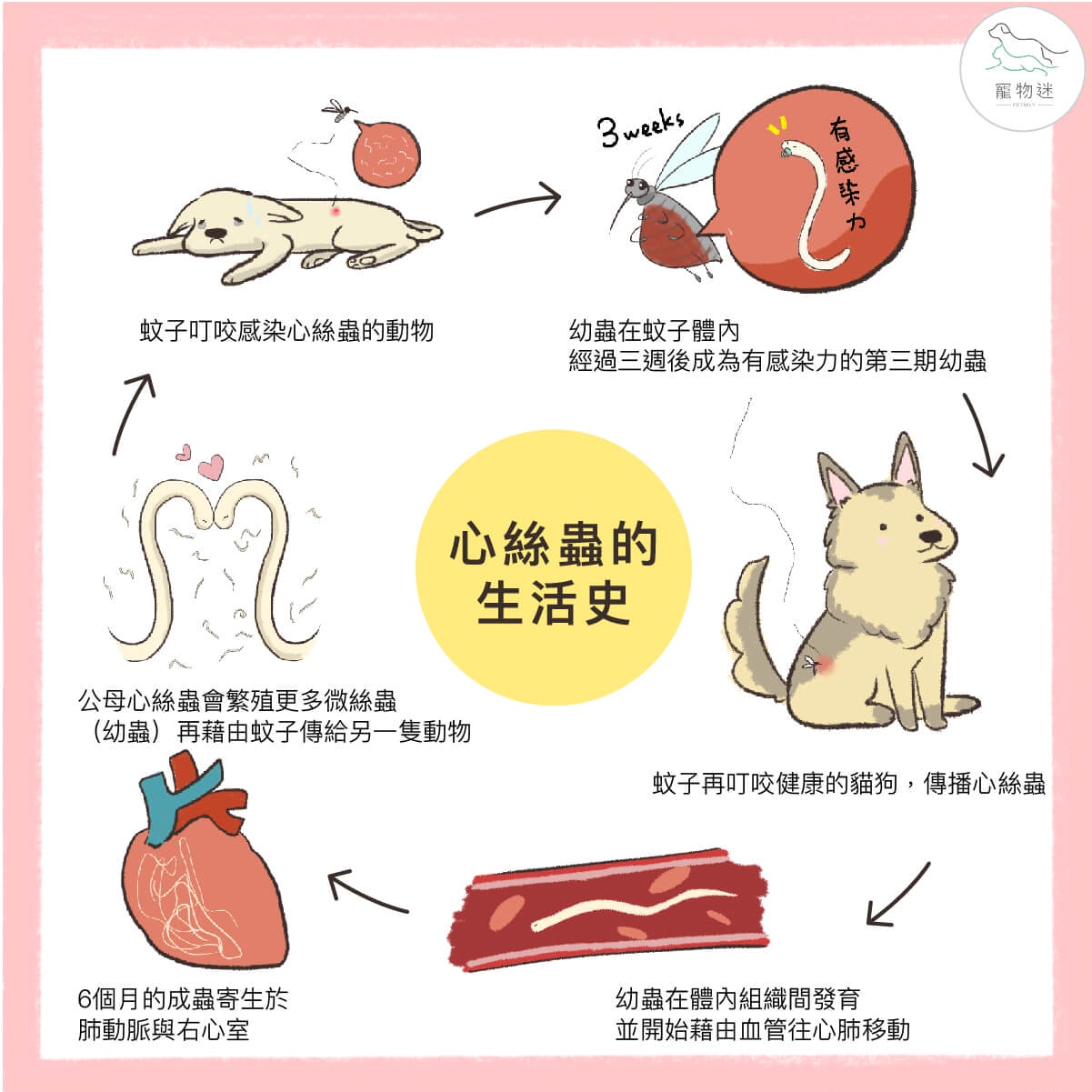 【好物推薦】鱷魚 防蚊戰士-蚊の驅除噴霧 噴一下就好 毛孩防蚊救星 室內防蚊推薦 科學防蚊第一品牌 寵物適用 寵物防蚊 - 第4張圖