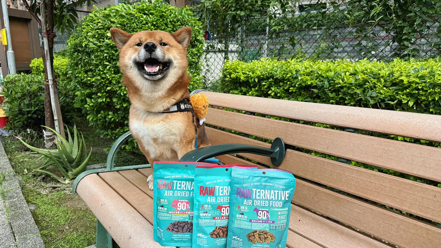 主食飼料推薦 洛特夫 紐西蘭 風乾主食狗糧 風乾主食狗飼料 2025飼料推薦 新鮮肉塊 綠唇胎貝 亞麻籽 維護皮毛 關節健康 - 第1張圖