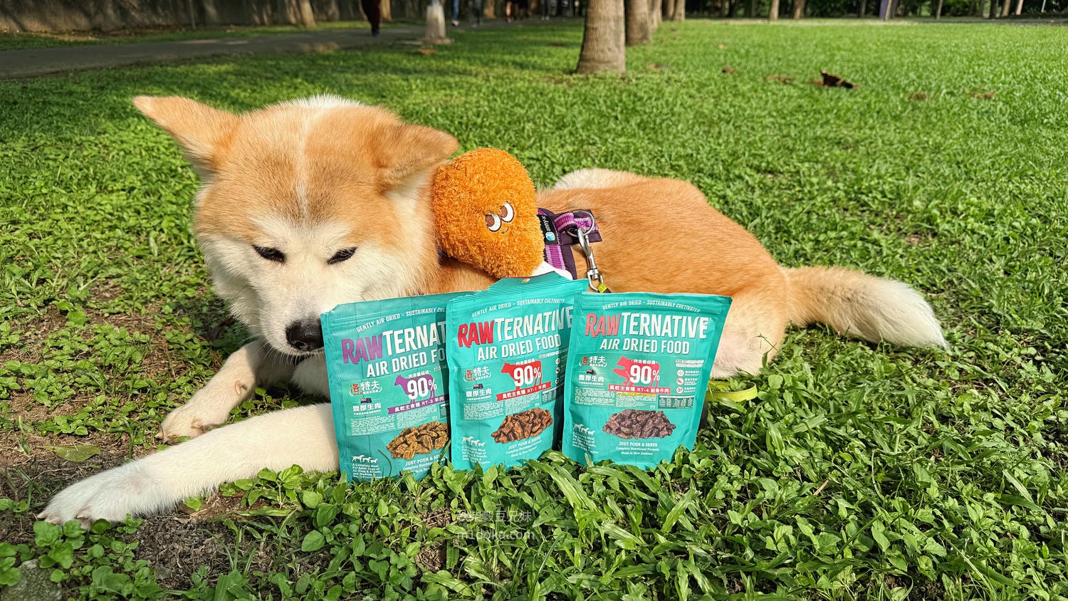 主食飼料推薦 洛特夫 紐西蘭 風乾主食狗糧 風乾主食狗飼料 2025飼料推薦 新鮮肉塊 綠唇胎貝 亞麻籽 維護皮毛 關節健康 - 第2張圖