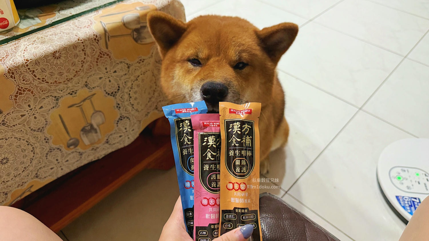 【毛孩潔牙新選擇】關健時刻-漢方食補 養生嚼棒實測|狗狗潔牙棒推薦 潔牙、咀嚼、養生一次滿足!毛孩零食挑選心得分享 天然草本狗零食開箱心得 - 第30張圖