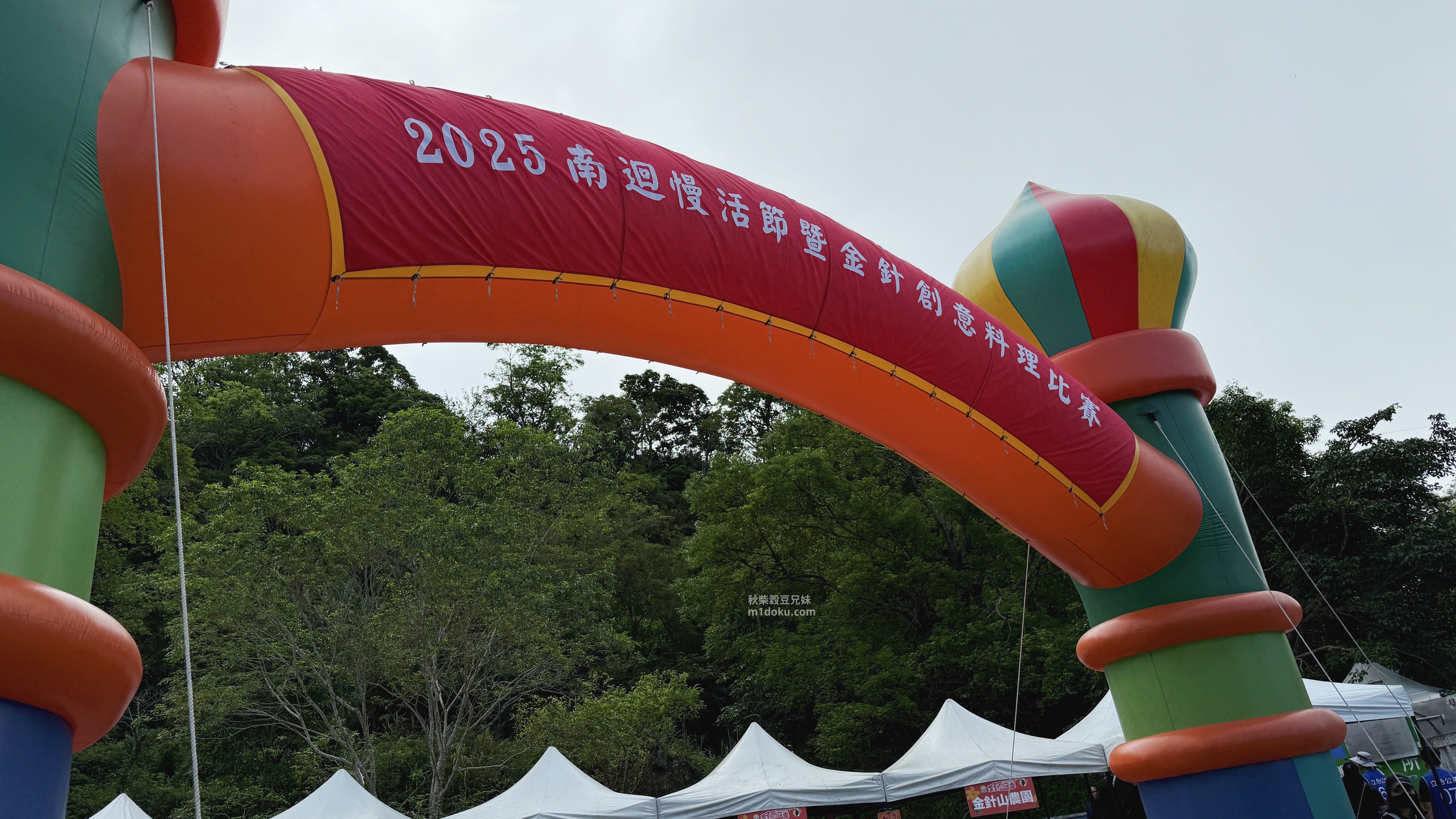 【太麻里金針花季】毛孩同遊南迴慢活節|太麻里鄉公所專車 金針花季賞花路線 台東一日遊景點 太麻里旅遊景點 - 第2張圖