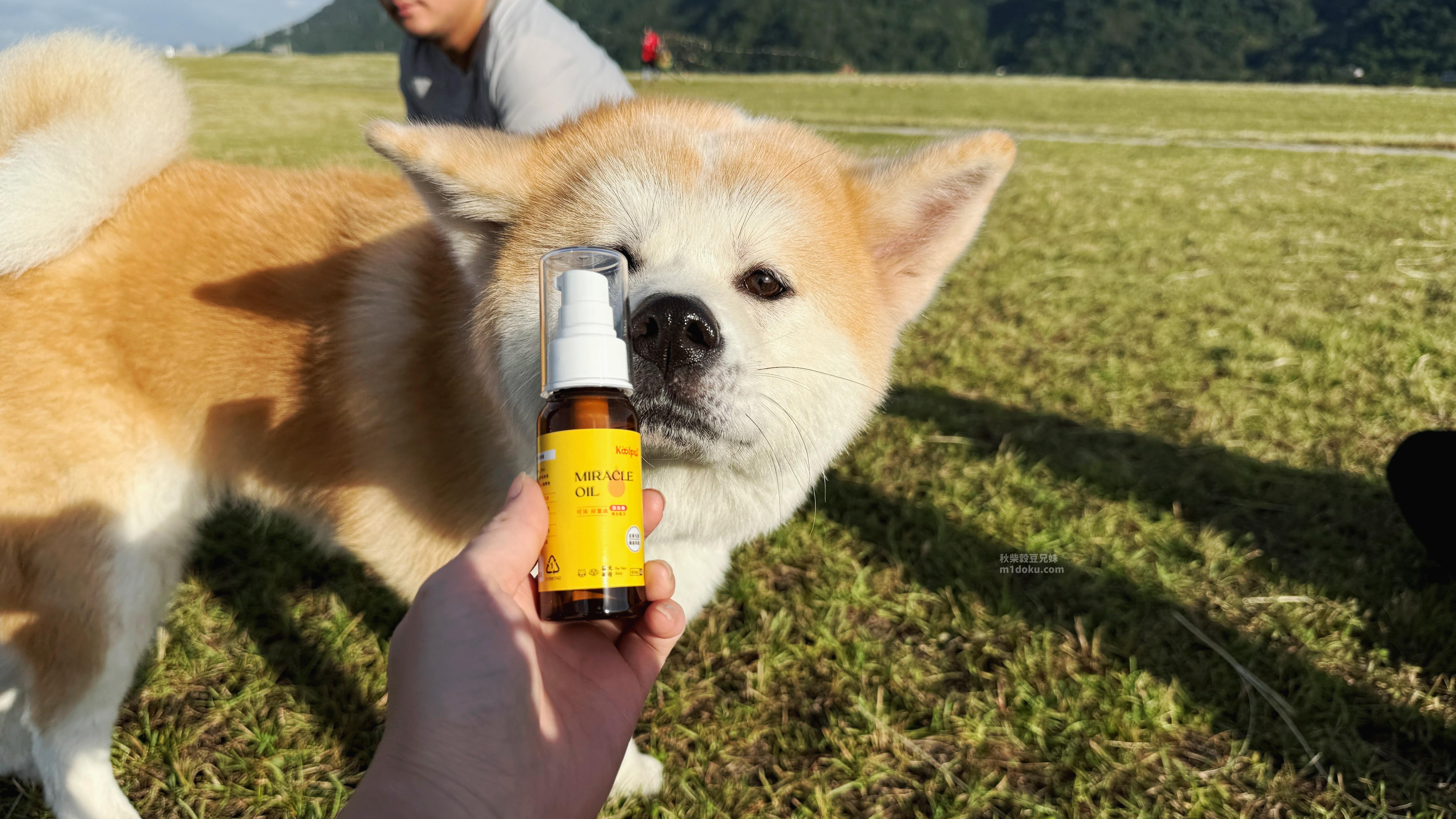 可沛寵藥 好靈油 毛孩多功能保健品 黃金比例寵物魚油推薦 日常保健寵物魚油推薦 - 第1張圖