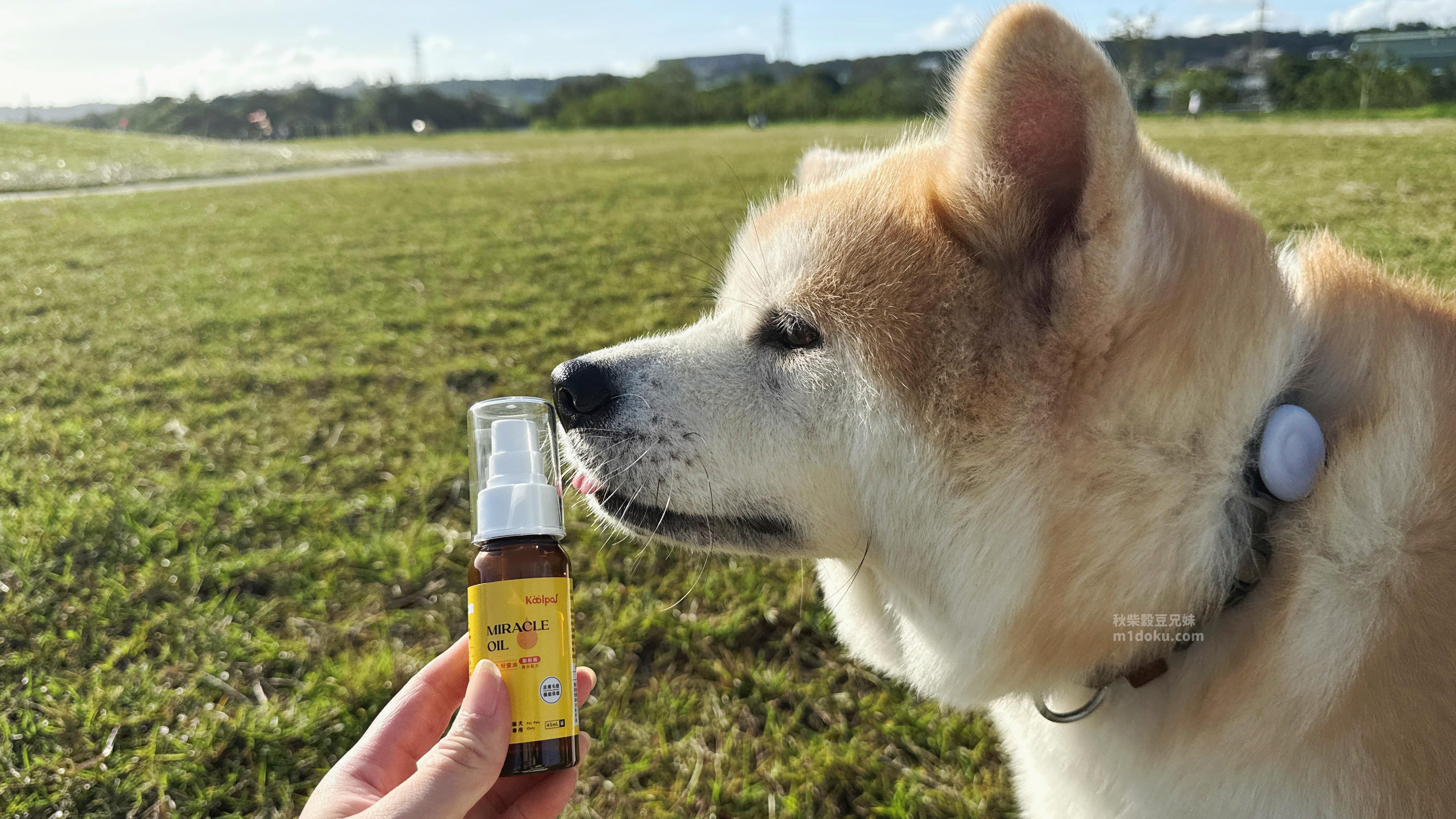 可沛寵藥 好靈油 毛孩多功能保健品 黃金比例寵物魚油推薦 日常保健寵物魚油推薦 - 第5張圖