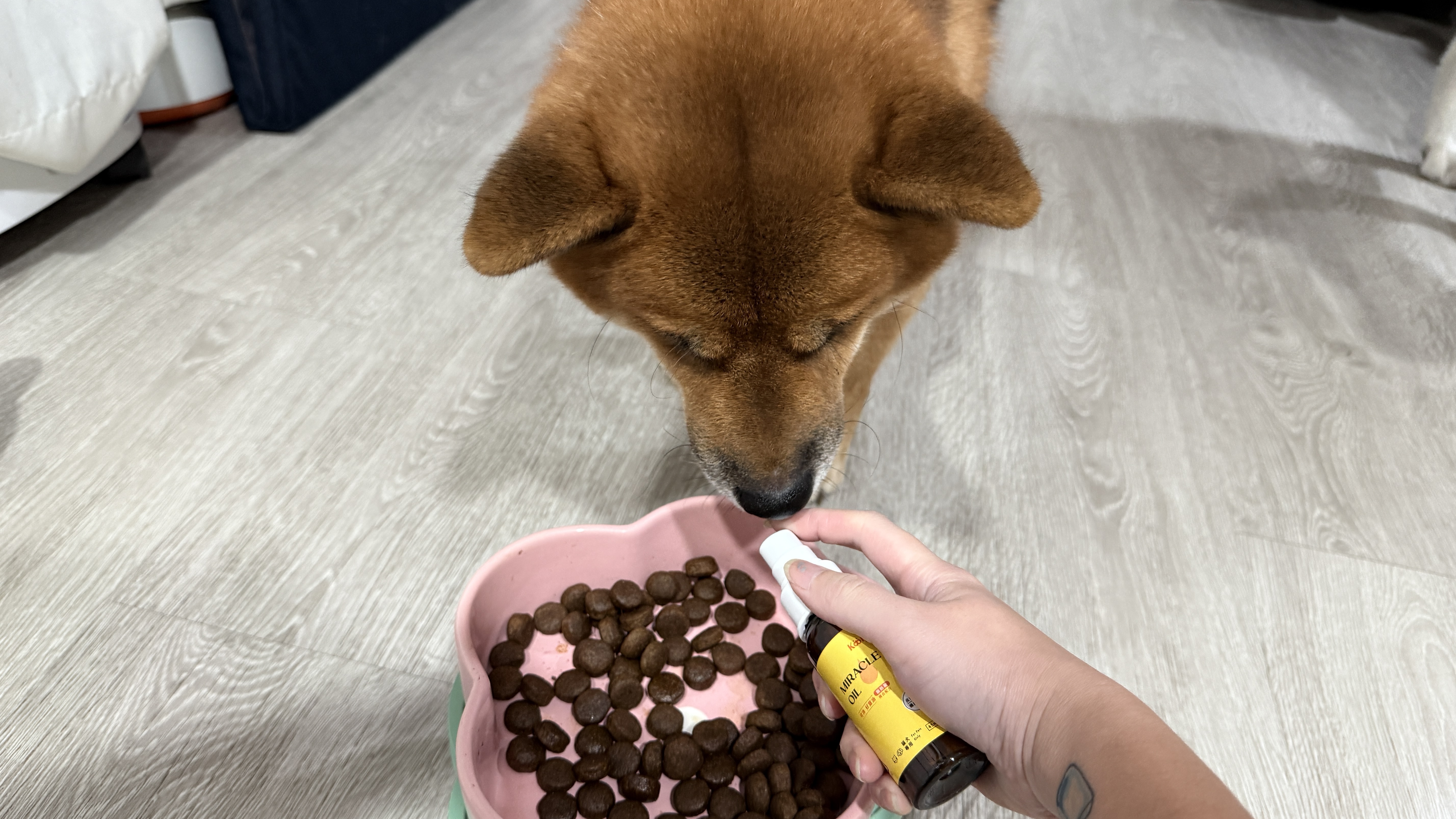 可沛寵藥 好靈油 毛孩多功能保健品 黃金比例寵物魚油推薦 日常保健寵物魚油推薦 - 第21張圖