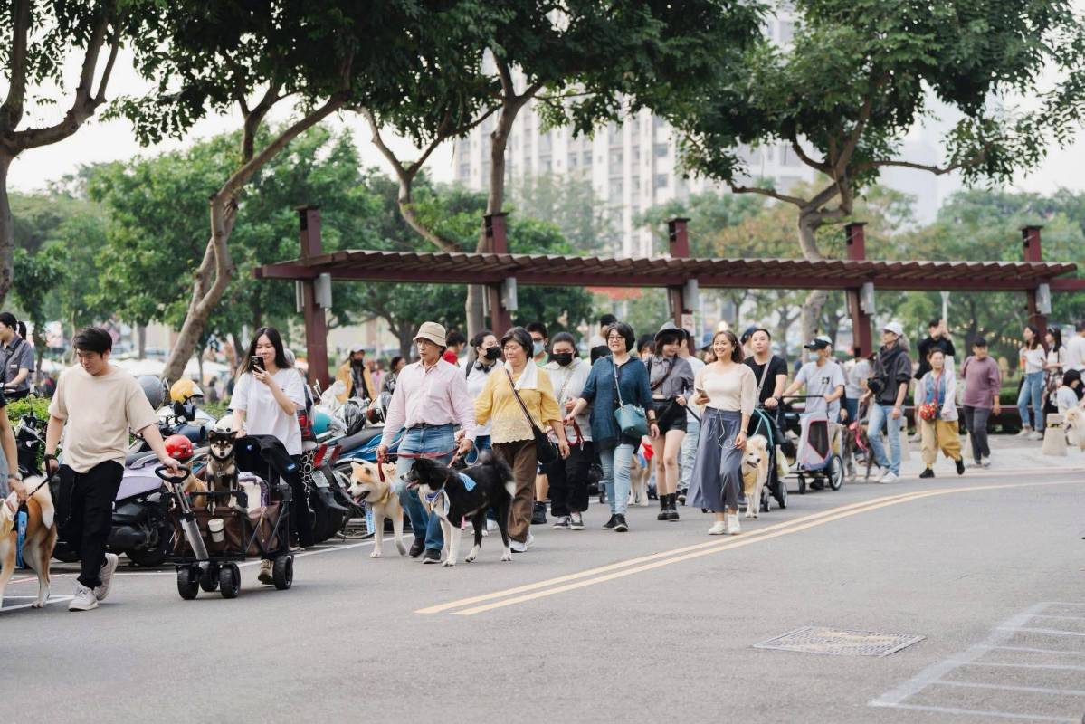 秋田犬在高雄 日本海外首場  全台首次秋田犬大遊行 高雄 五甲公園 好伴狗狗吹狗螺 吹狗螺音樂節 秋田犬俱樂部 高動保