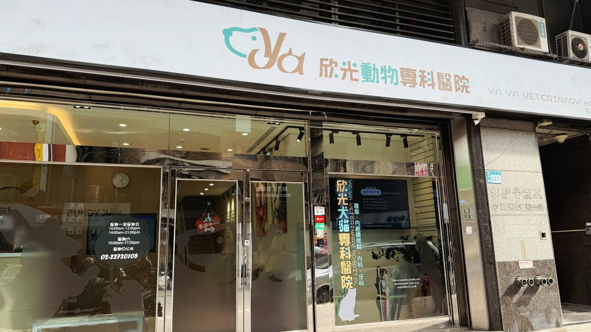 新北寵物結紮診所推薦 板橋寵物結紮 欣光動物專科醫院 內視鏡微創手術 腹腔鏡手術 米穀結紮心得分享
