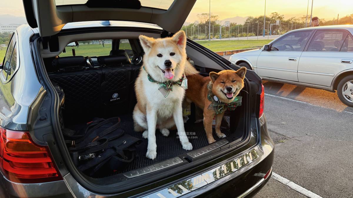 毛孩出遊安全坐駕 BMW 320GT 好車分享 米豆米穀家實坐心得