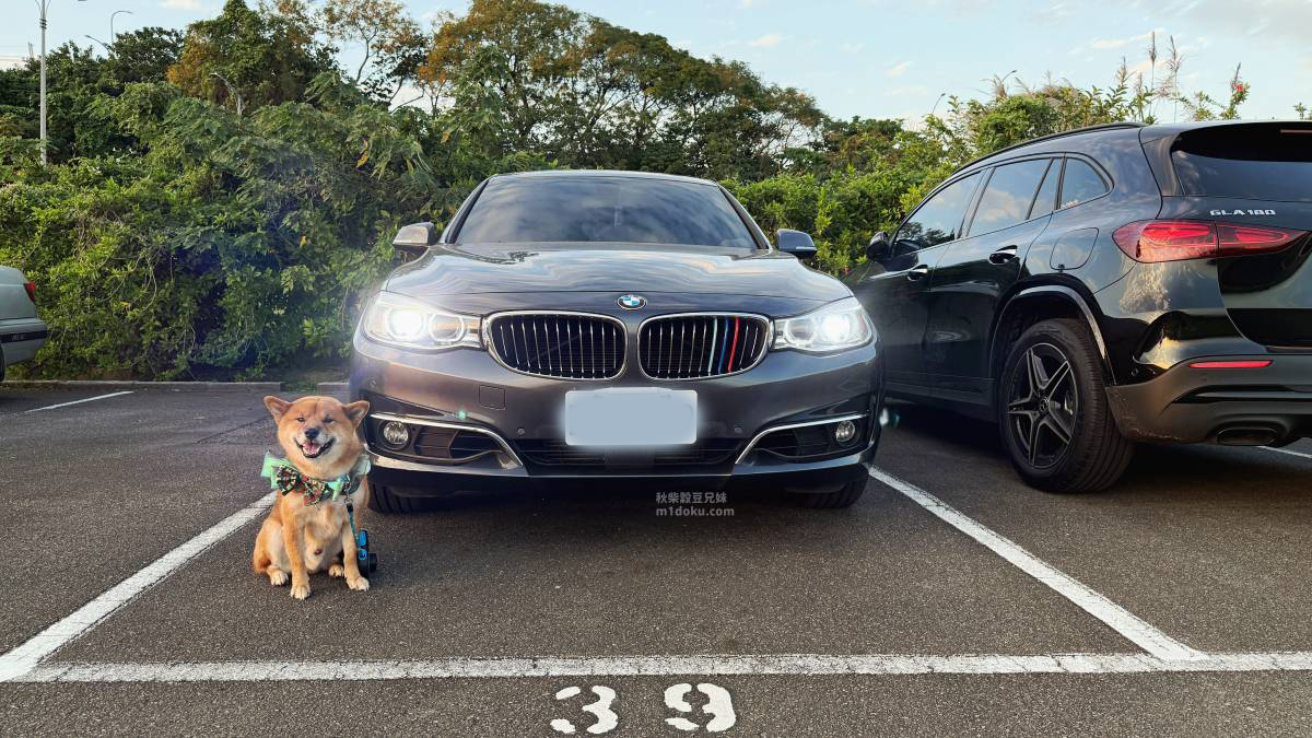 毛孩出遊安全坐駕 BMW 320GT 好車分享 米豆米穀家實坐心得
