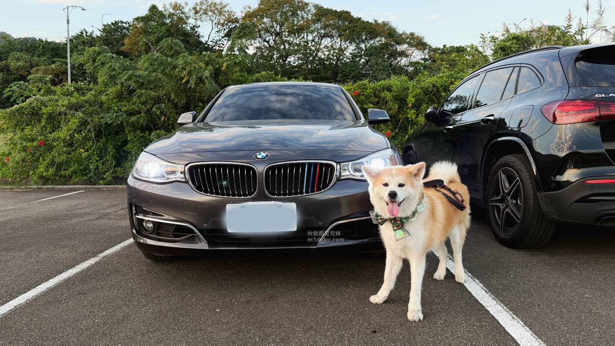 毛孩出遊安全坐駕 BMW 320GT 好車分享 米豆米穀家實坐心得