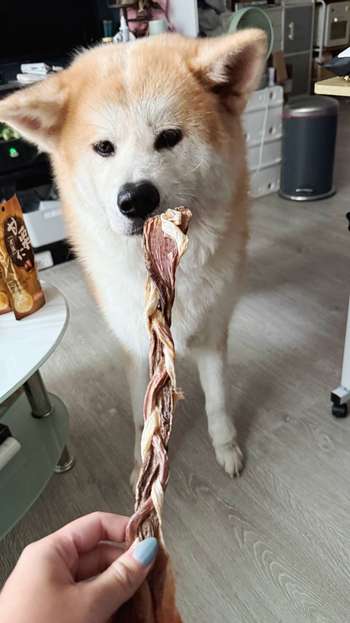 寵物零食推薦 鷹犬原食製所 嚴選食材 堅持手作不添加 豬肉零食 雞肉零食 對雞肉過敏的毛孩也能找到專屬的零食