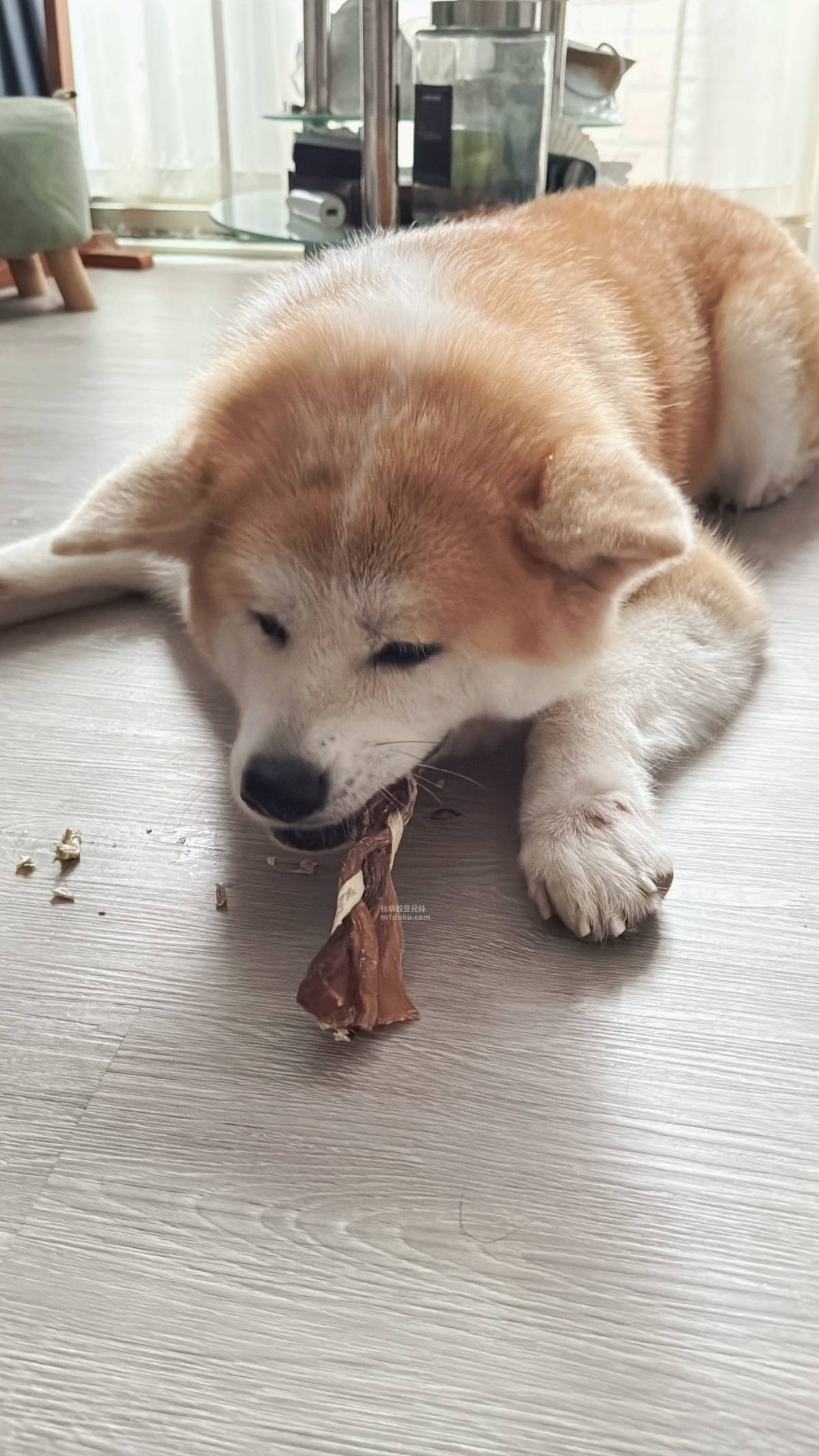 寵物零食推薦 鷹犬原食製所 嚴選食材 堅持手作不添加 豬肉零食 雞肉零食 對雞肉過敏的毛孩也能找到專屬的零食