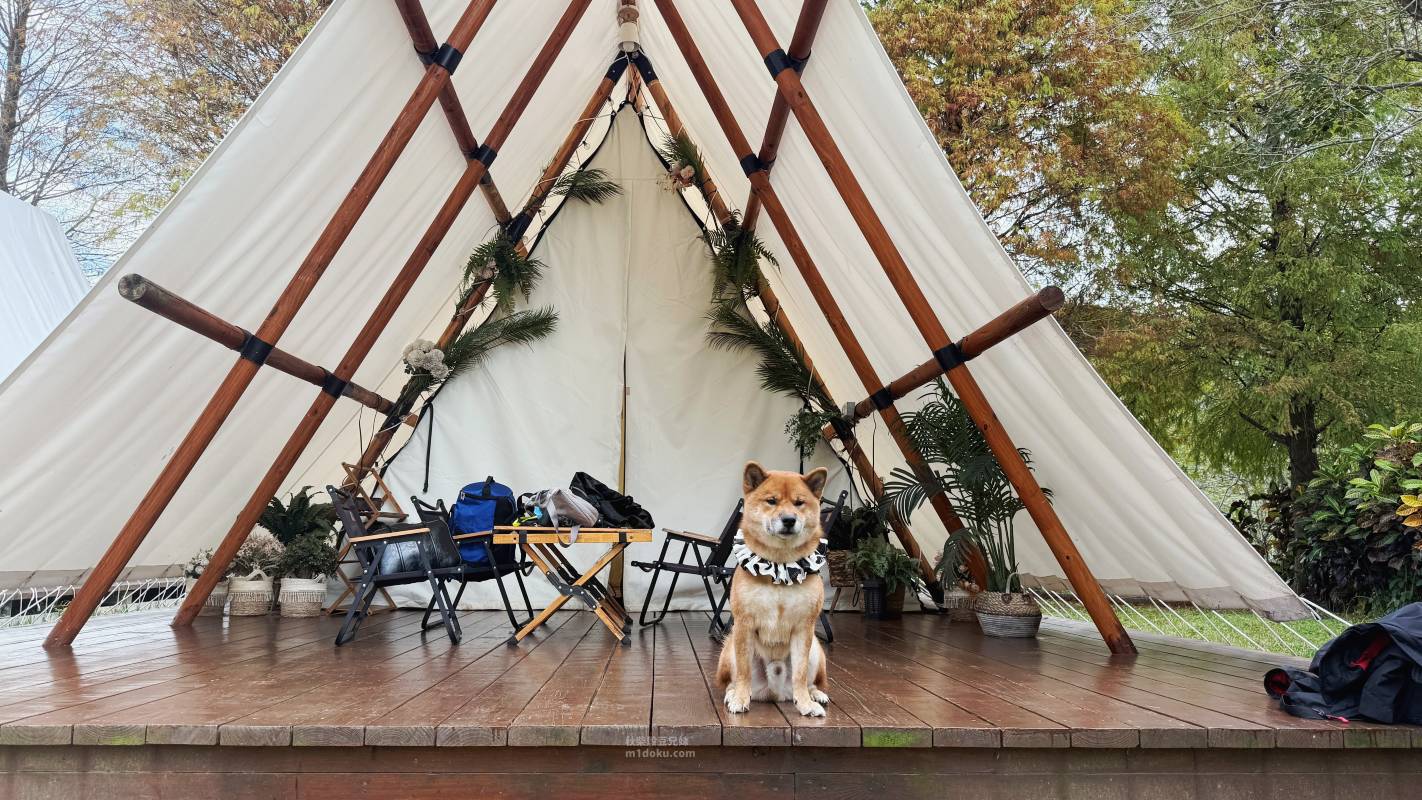 叢林開始Glamping-苗栗店｜寵物友善 懶人露營 一泊四食 流體兔DIY 森林系網美帳篷 露天泳池 電動麻將桌 KTV