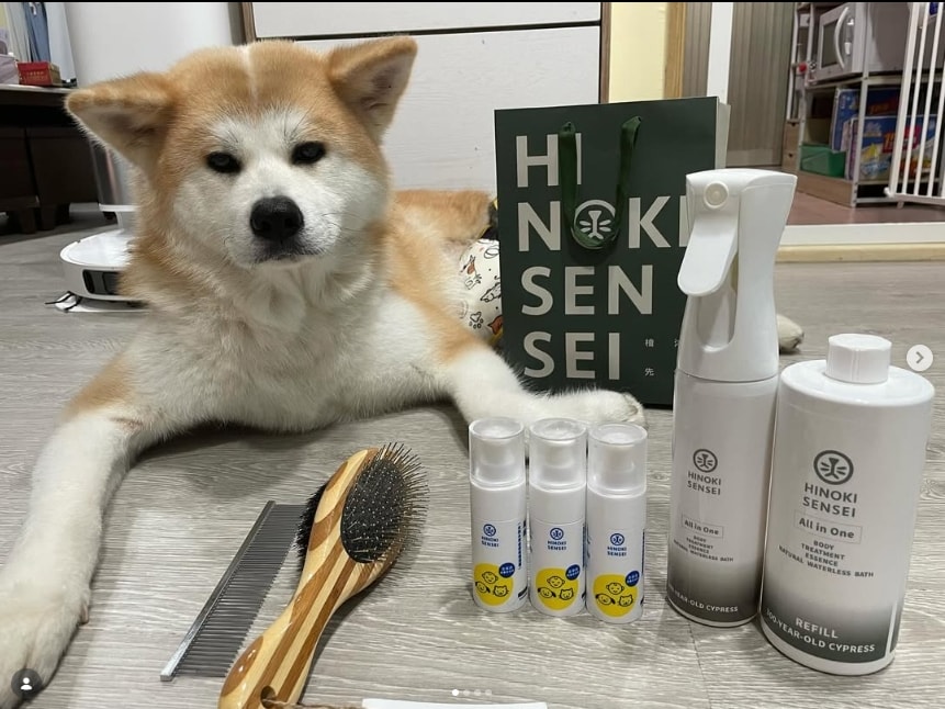 檜沐先生 Hinoki Sensei 天然乾洗噴霧 皮膚凝露 寵物梳 天然清潔產品 寵物清潔用品推薦
