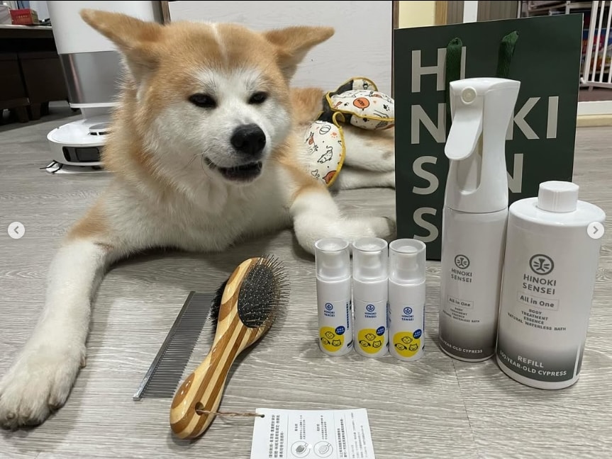 檜沐先生 Hinoki Sensei 天然乾洗噴霧 皮膚凝露 寵物梳 天然清潔產品 寵物清潔用品推薦