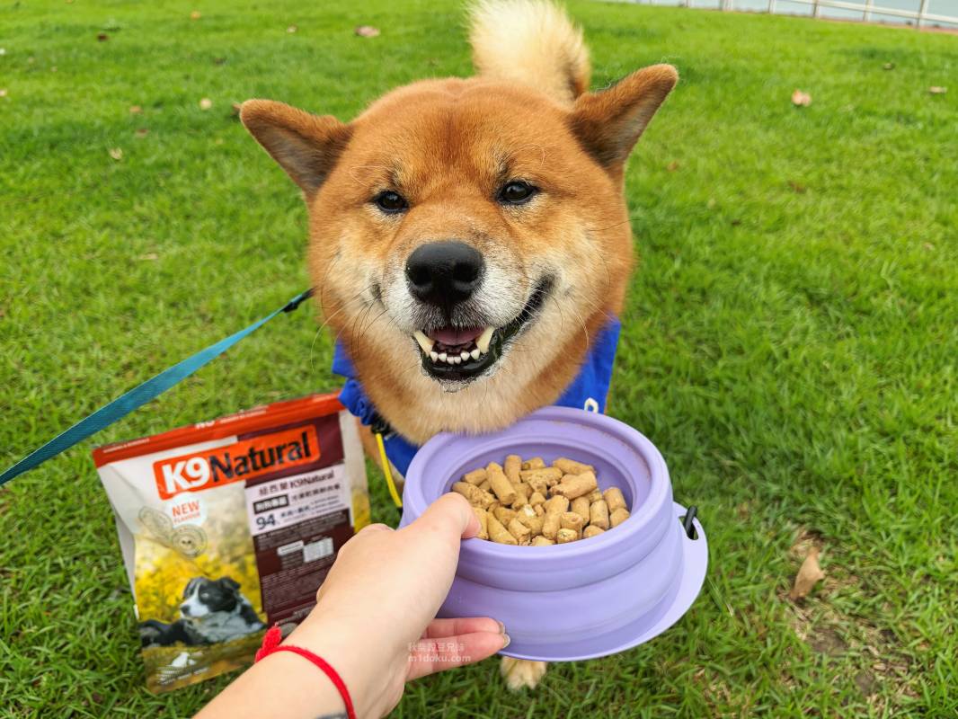 寵物主食推薦 K9 Natural 羊鹿主食凍乾—100% 紐西蘭奢華肉肉 狗狗冷凍乾燥鮮肉餐｜K9 Natural評價 主食凍乾推薦