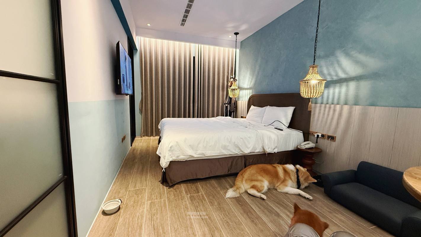 高雄寵物友善住宿推薦 Dogether Hotel 多野樂旅館|寵物美容 寵物泳池 專為毛孩設計的旅館 民宿 寵物可上床 落地 - 第6張圖 高雄寵物友善住宿推薦 Dogether Hotel 多野樂旅館|寵物美容 寵物泳池 專為毛孩設計的旅館 民宿 寵物可上床 落地