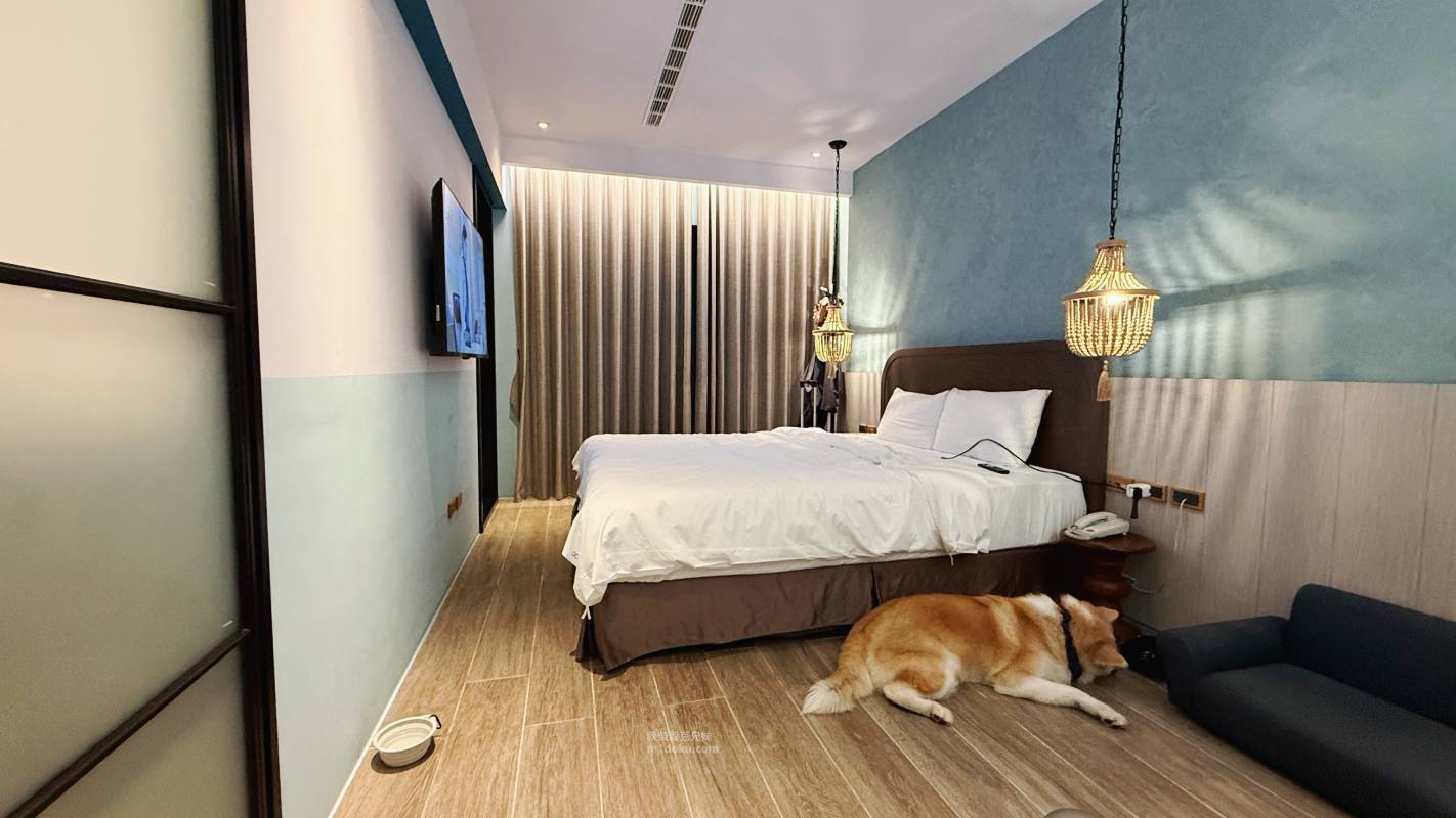 高雄寵物友善住宿推薦 Dogether Hotel 多野樂旅館|寵物美容 寵物泳池 專為毛孩設計的旅館 民宿 寵物可上床 落地 - 第7張圖 高雄寵物友善住宿推薦 Dogether Hotel 多野樂旅館|寵物美容 寵物泳池 專為毛孩設計的旅館 民宿 寵物可上床 落地
