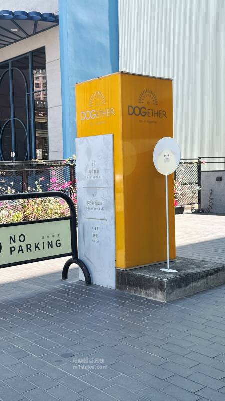 高雄寵物友善住宿推薦 Dogether Hotel 多野樂旅館|寵物美容 寵物泳池 專為毛孩設計的旅館 民宿 寵物可上床 落地 - 第1張圖 高雄寵物友善住宿推薦 Dogether Hotel 多野樂旅館|寵物美容 寵物泳池 專為毛孩設計的旅館 民宿 寵物可上床 落地