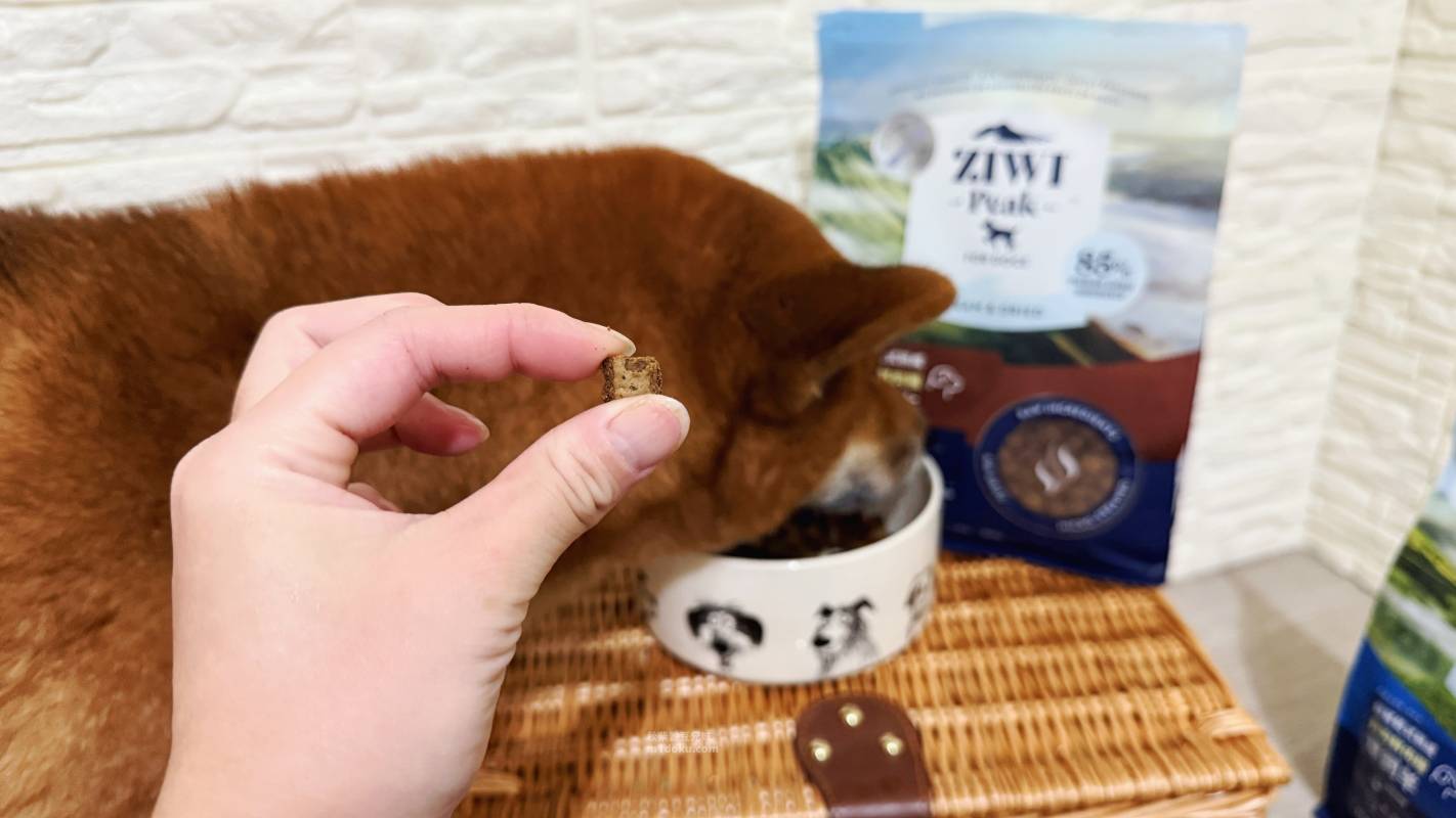紐西蘭 Ziwi Peak 滋益巔峰 微蒸熟式鮮肉狗糧|創新微蒸熟成技術 保留天然營養 Ziwi Peak評價 寵物營養飼料分享 毛孩乾糧開箱 - 第22張圖 紐西蘭 Ziwi Peak 滋益巔峰 微蒸熟式鮮肉狗糧|創新微蒸熟成技術 保留天然營養 Ziwi Peak評價 寵物營養飼料分享 毛孩乾糧開箱