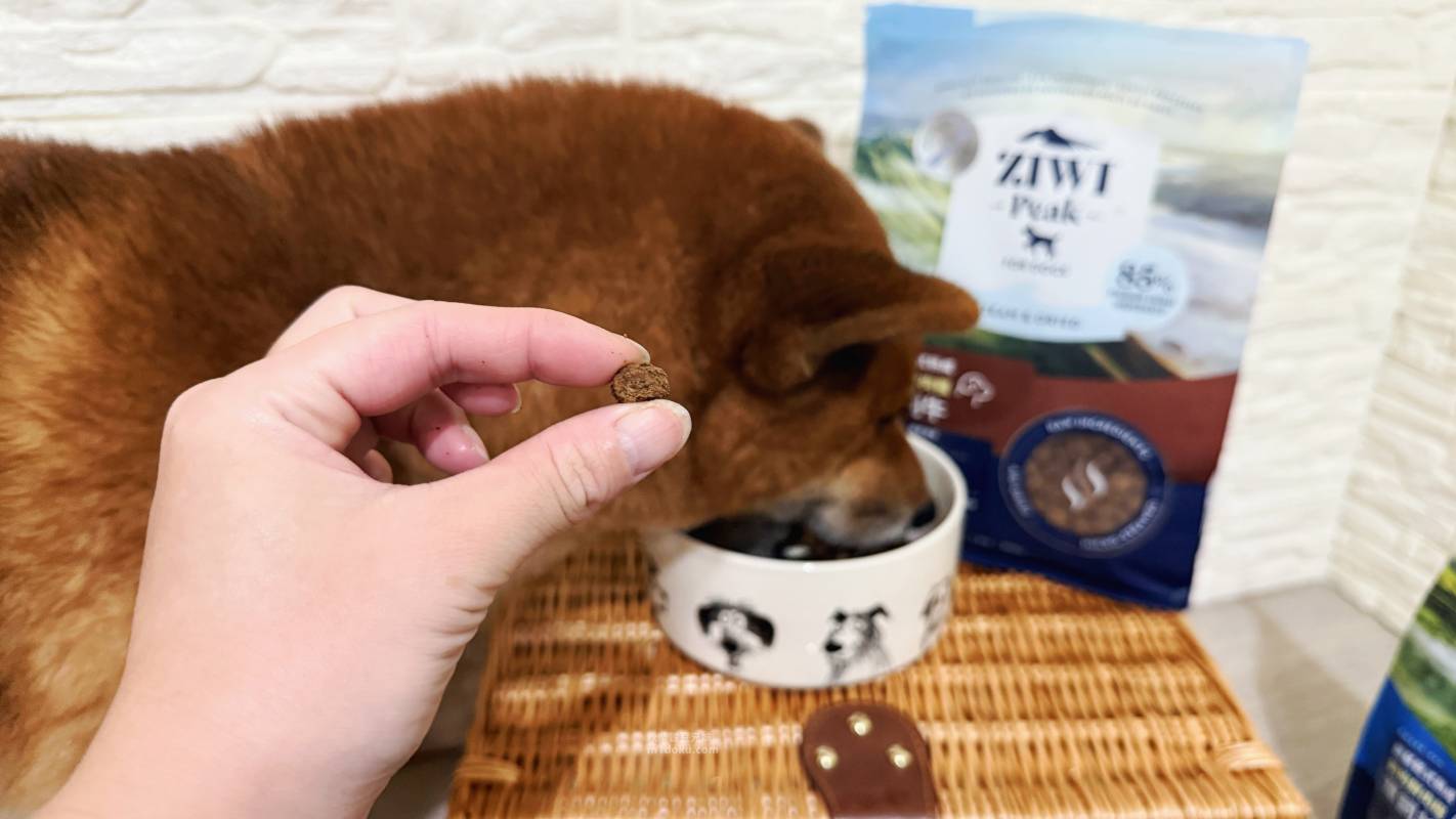 紐西蘭 Ziwi Peak 滋益巔峰 微蒸熟式鮮肉狗糧|創新微蒸熟成技術 保留天然營養 Ziwi Peak評價 寵物營養飼料分享 毛孩乾糧開箱 - 第20張圖 紐西蘭 Ziwi Peak 滋益巔峰 微蒸熟式鮮肉狗糧|創新微蒸熟成技術 保留天然營養 Ziwi Peak評價 寵物營養飼料分享 毛孩乾糧開箱