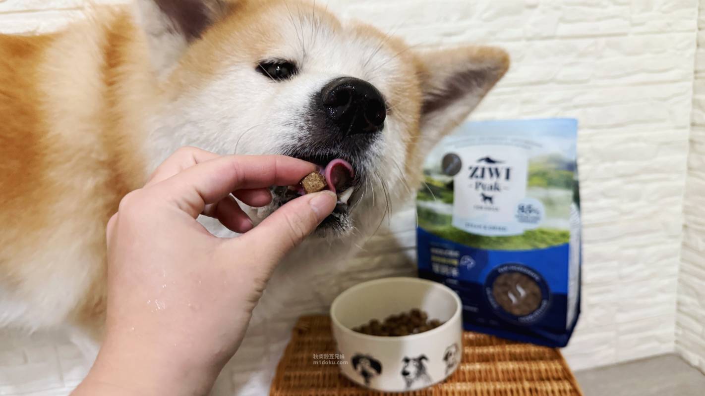 紐西蘭 Ziwi Peak 滋益巔峰 微蒸熟式鮮肉狗糧|創新微蒸熟成技術 保留天然營養 Ziwi Peak評價 寵物營養飼料分享 毛孩乾糧開箱 - 第10張圖 紐西蘭 Ziwi Peak 滋益巔峰 微蒸熟式鮮肉狗糧|創新微蒸熟成技術 保留天然營養 Ziwi Peak評價 寵物營養飼料分享 毛孩乾糧開箱
