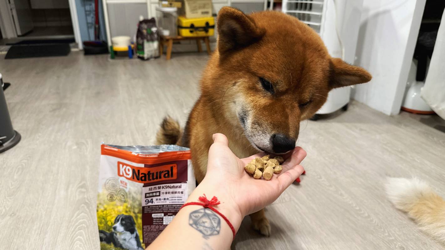 寵物主食推薦 K9 Natural 羊鹿主食凍乾—100% 紐西蘭奢華肉肉 狗狗冷凍乾燥鮮肉餐｜K9 Natural評價 主食凍乾推薦