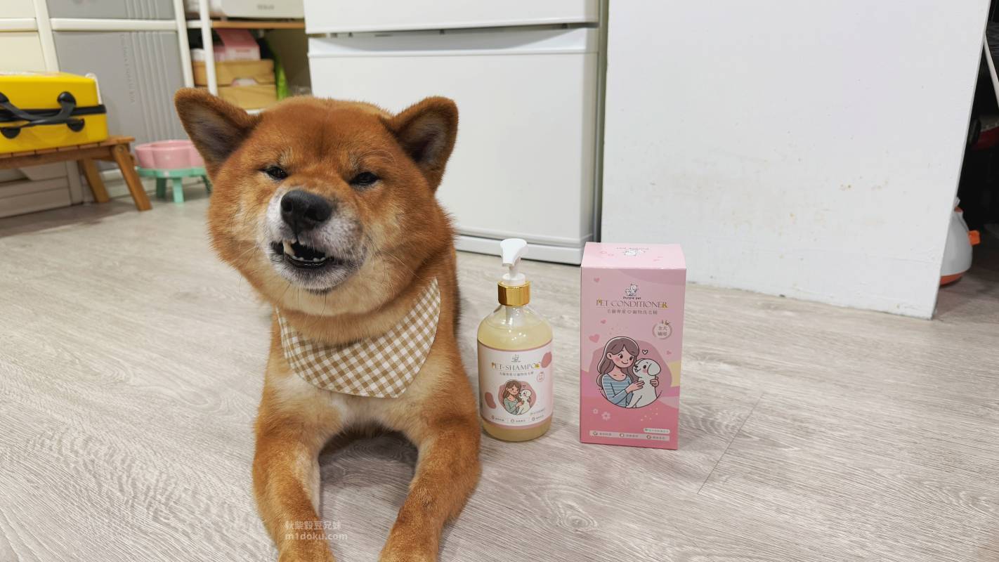 【敏感肌狗狗洗毛精推薦】寵寵香 Purple pet 全犬通用洗毛精｜低刺激寵物洗毛精 改善體味與皮膚搔癢的關鍵清潔選擇 米豆實測分享