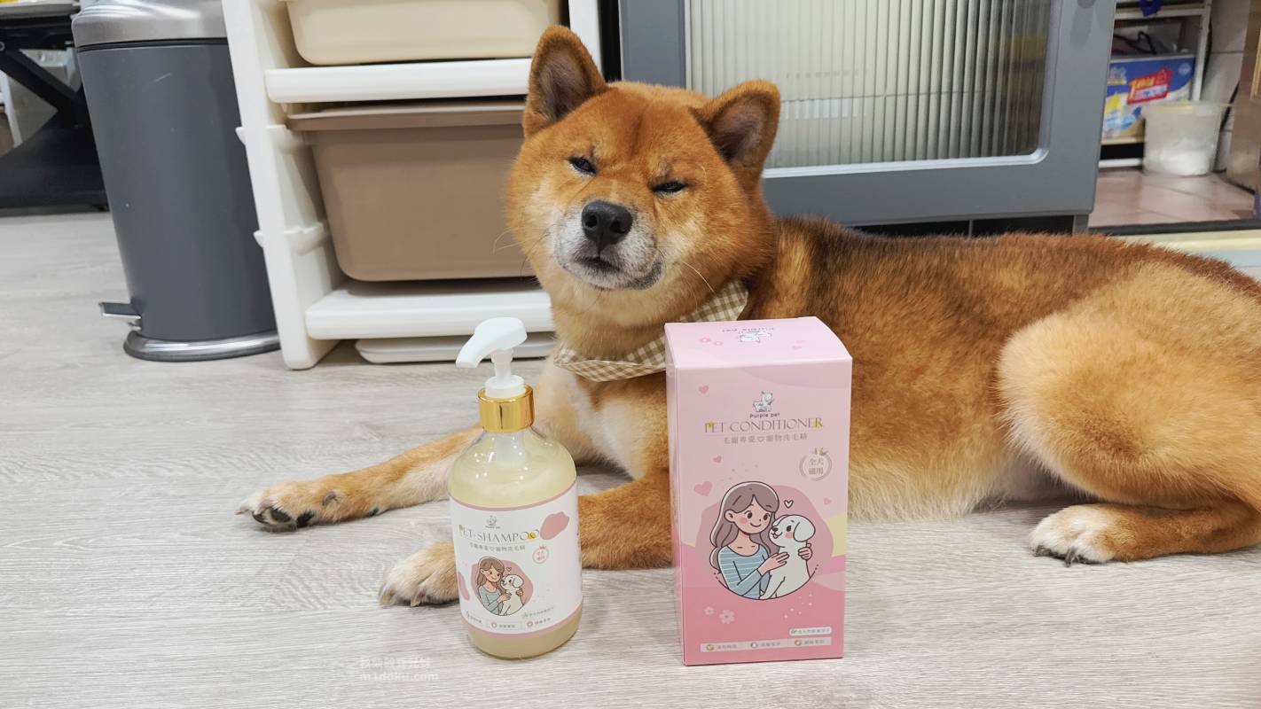 【敏感肌狗狗洗毛精推薦】寵寵香 Purple pet 全犬通用洗毛精｜低刺激寵物洗毛精 改善體味與皮膚搔癢的關鍵清潔選擇 米豆實測分享