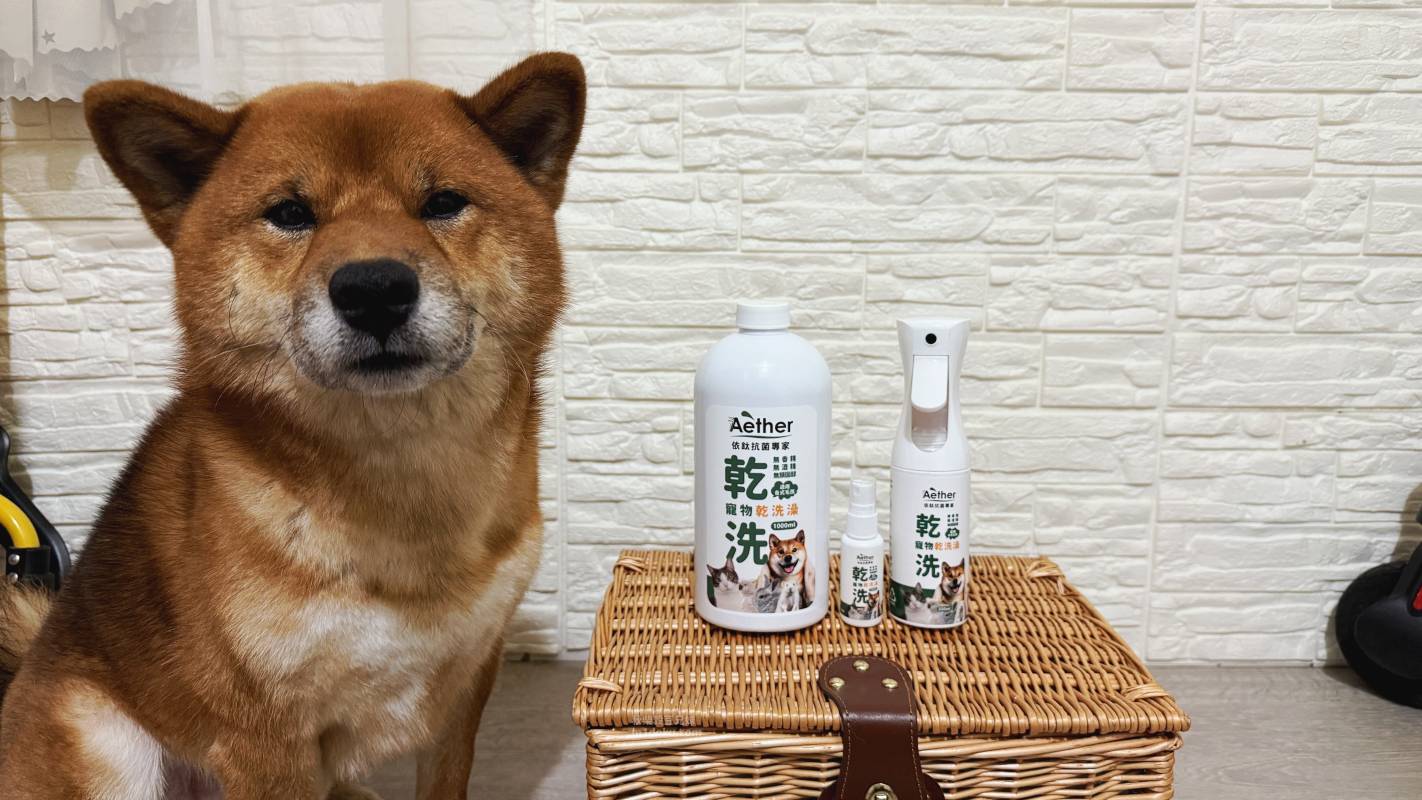 寵物乾洗澡推薦 Aether依鈦抗菌專家 寵物乾洗澡組｜毛孩清潔噴霧 寵物清潔噴霧分享 毛孩乾洗澡 Aether評價