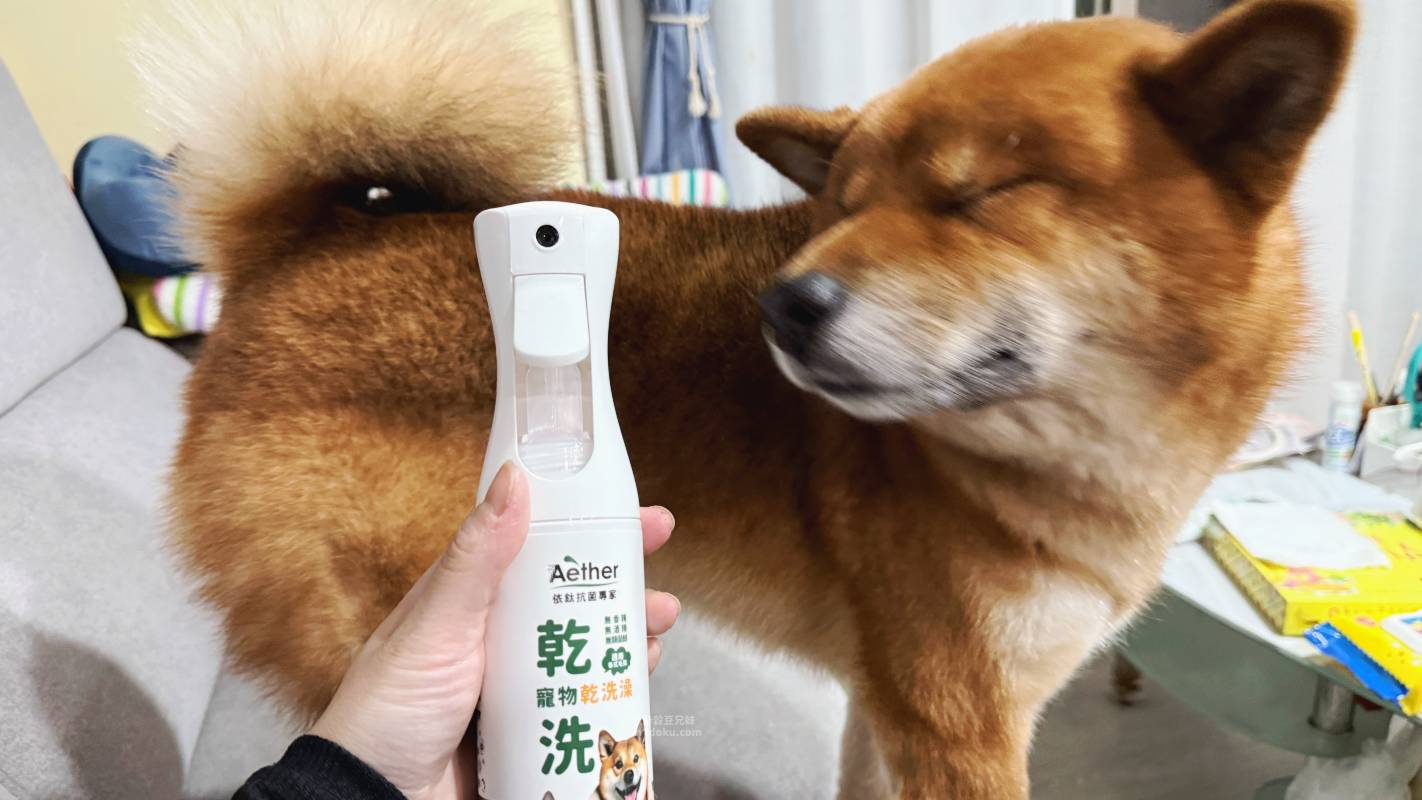 寵物乾洗澡推薦 Aether依鈦抗菌專家 寵物乾洗澡組｜毛孩清潔噴霧 寵物清潔噴霧分享 毛孩乾洗澡 Aether評價