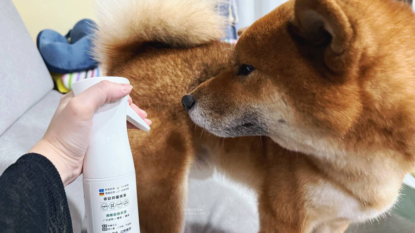 寵物乾洗澡推薦 Aether依鈦抗菌專家 寵物乾洗澡組｜毛孩清潔噴霧 寵物清潔噴霧分享 毛孩乾洗澡 Aether評價