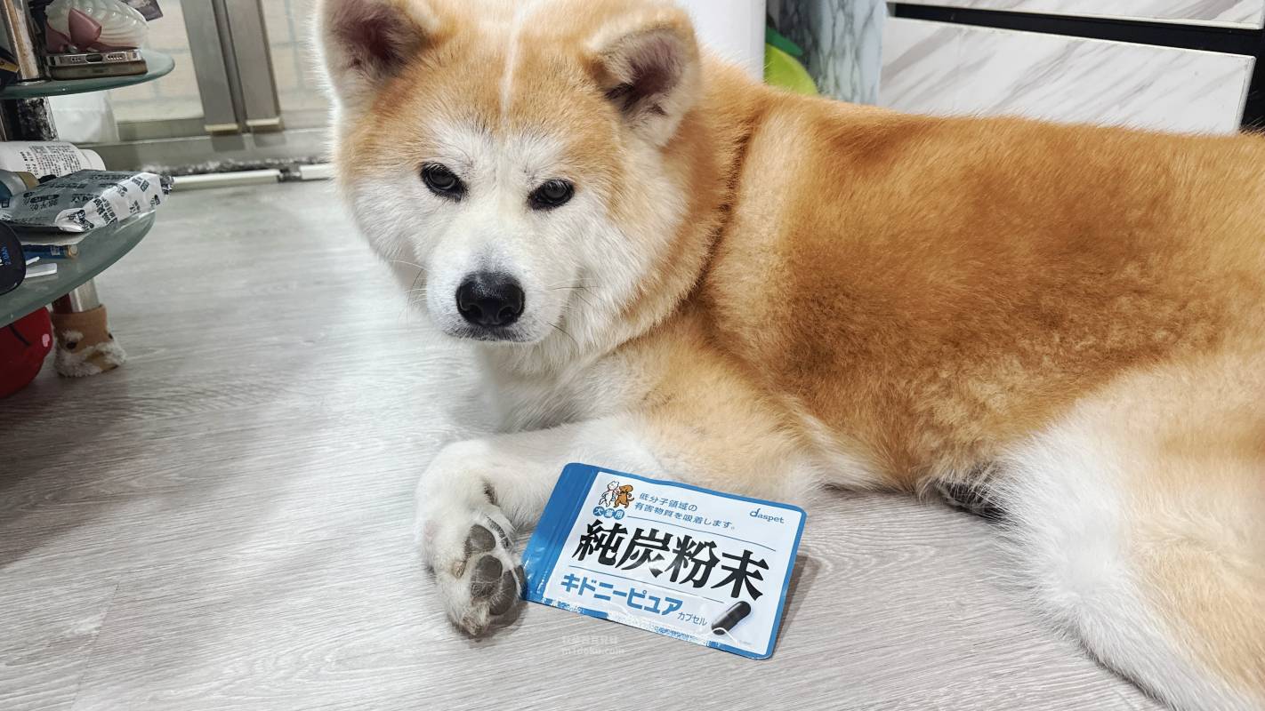 日本原裝進口 Daspet Kidney Pure犬貓腎臟保健碳粉｜nekohako評價 毛孩腎臟保健品分享 犬貓助代謝好物分享 犬貓腎臟保健