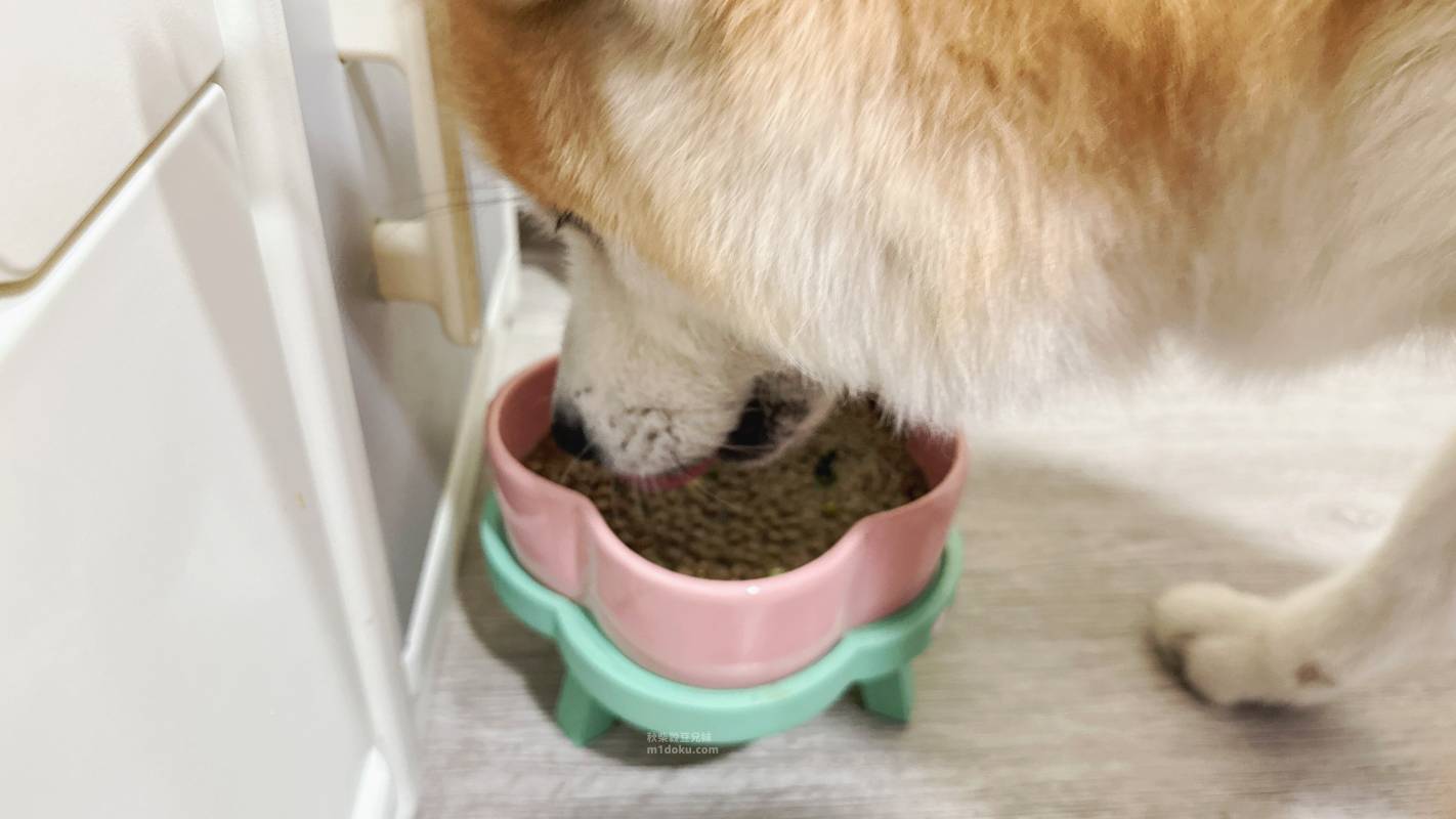 日本原裝進口 Daspet Kidney Pure犬貓腎臟保健碳粉｜nekohako評價 毛孩腎臟保健品分享 犬貓助代謝好物分享 犬貓腎臟保健