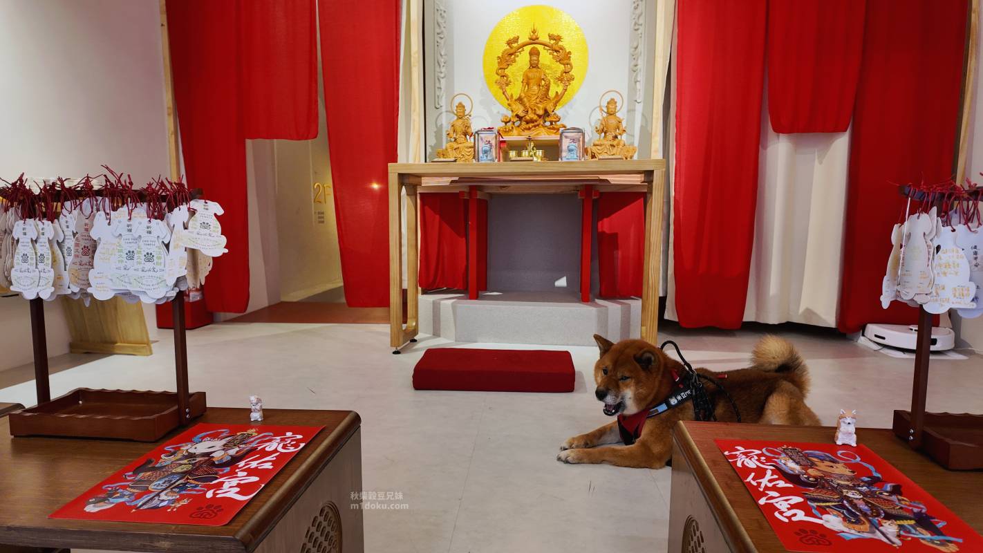 台北 大稻埕 寵佑宮｜全台灣第一間寵物專屬宮廟 保生大帝 台北寵物友善宮廟推薦 寵佑宮參訪分享 給毛孩一份專屬的守護！