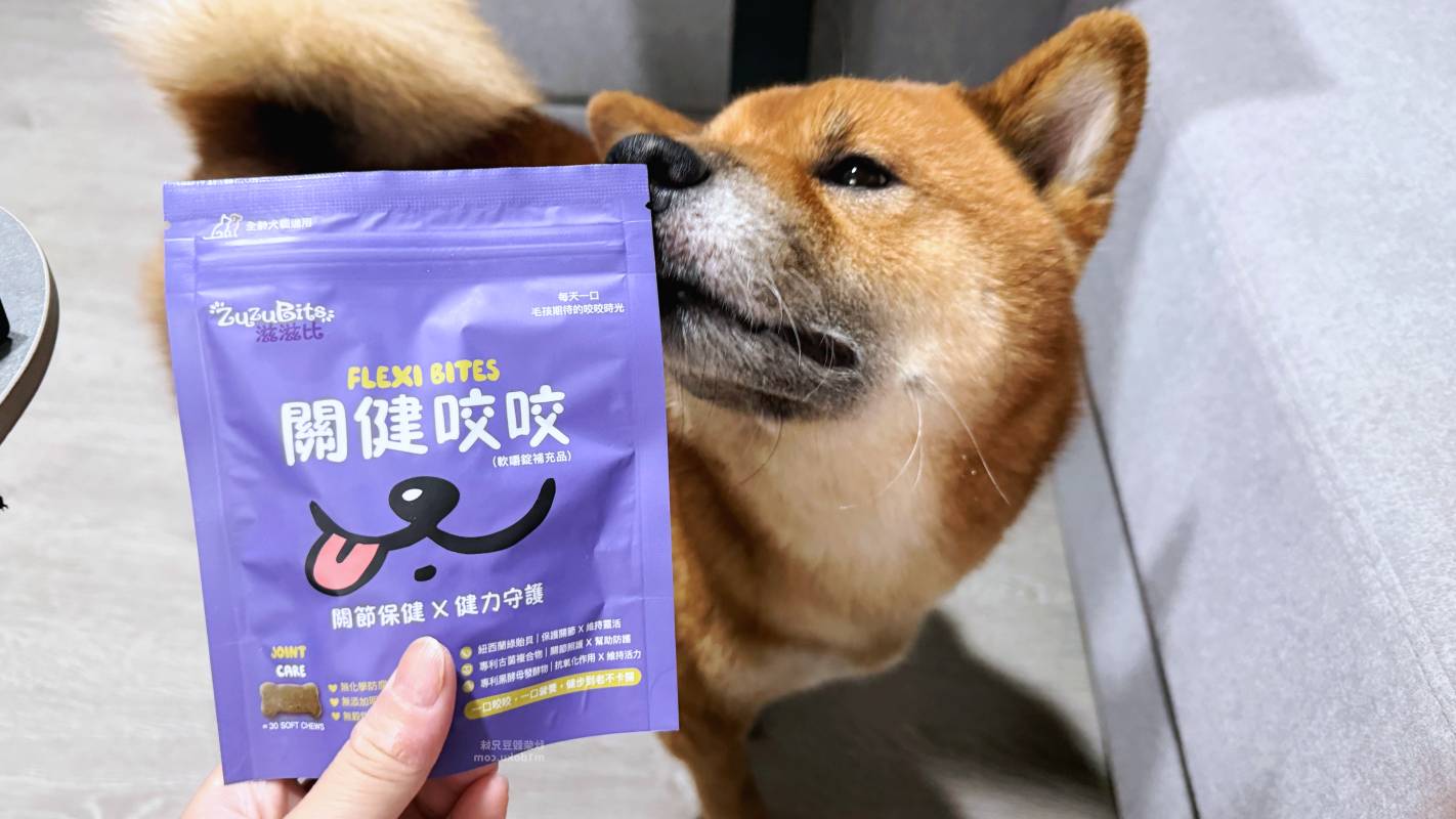 寵物零食型保健品推薦 ZuzuBits 滋滋比 FlexiBites 關健咬咬軟嚼錠｜好餵的保健品 軟Q好嚼好入口 毛孩關節保健品開箱 軟嚼錠推薦