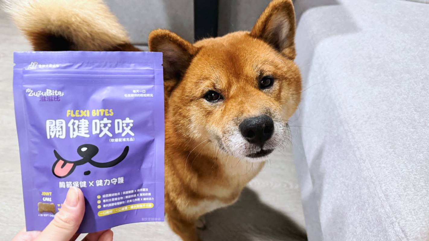 寵物零食型保健品推薦 ZuzuBits 滋滋比 FlexiBites 關健咬咬軟嚼錠｜好餵的保健品 軟Q好嚼好入口 毛孩關節保健品開箱 軟嚼錠推薦