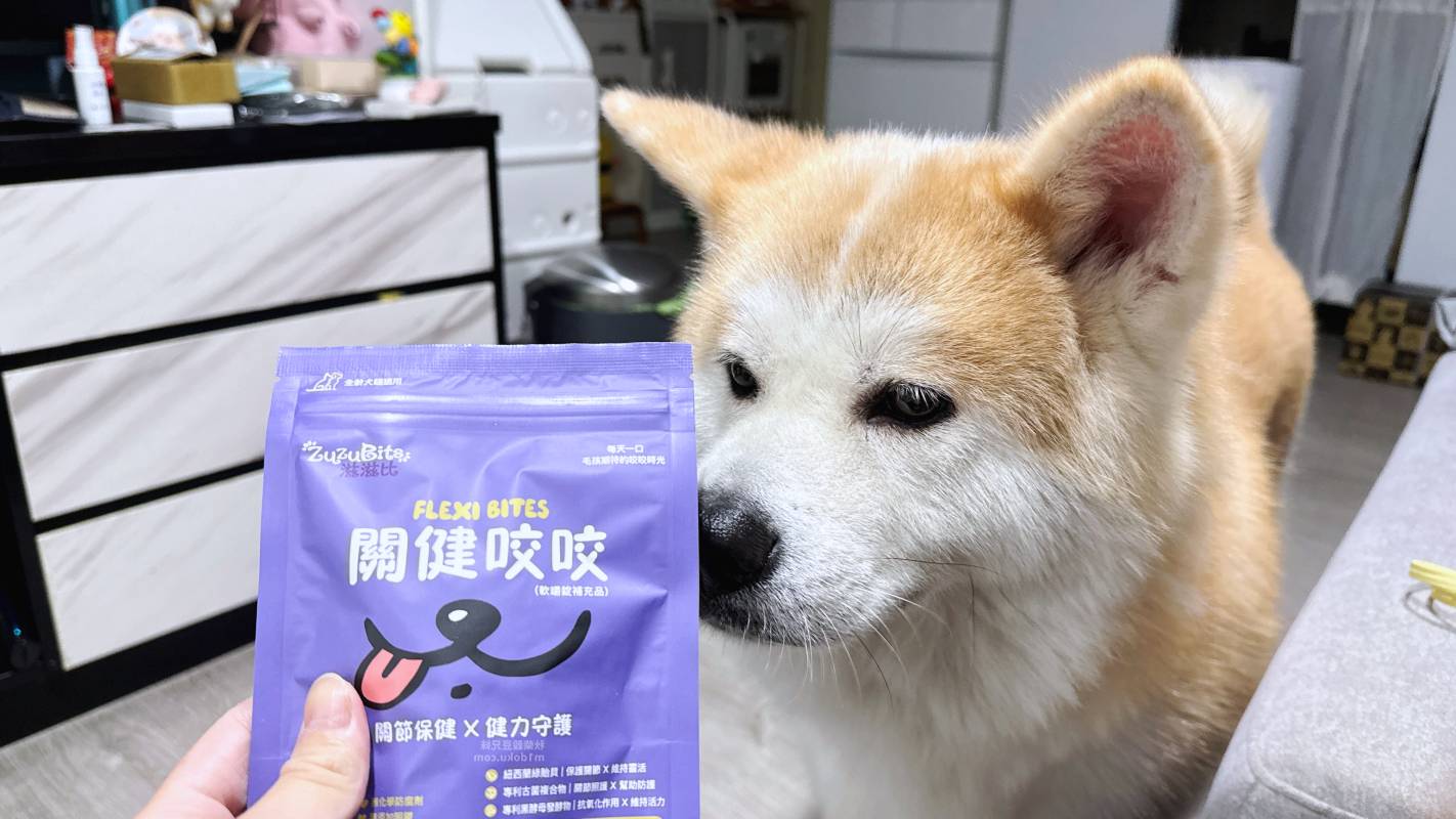 寵物零食型保健品推薦 ZuzuBits 滋滋比 FlexiBites 關健咬咬軟嚼錠｜好餵的保健品 軟Q好嚼好入口 毛孩關節保健品開箱 軟嚼錠推薦
