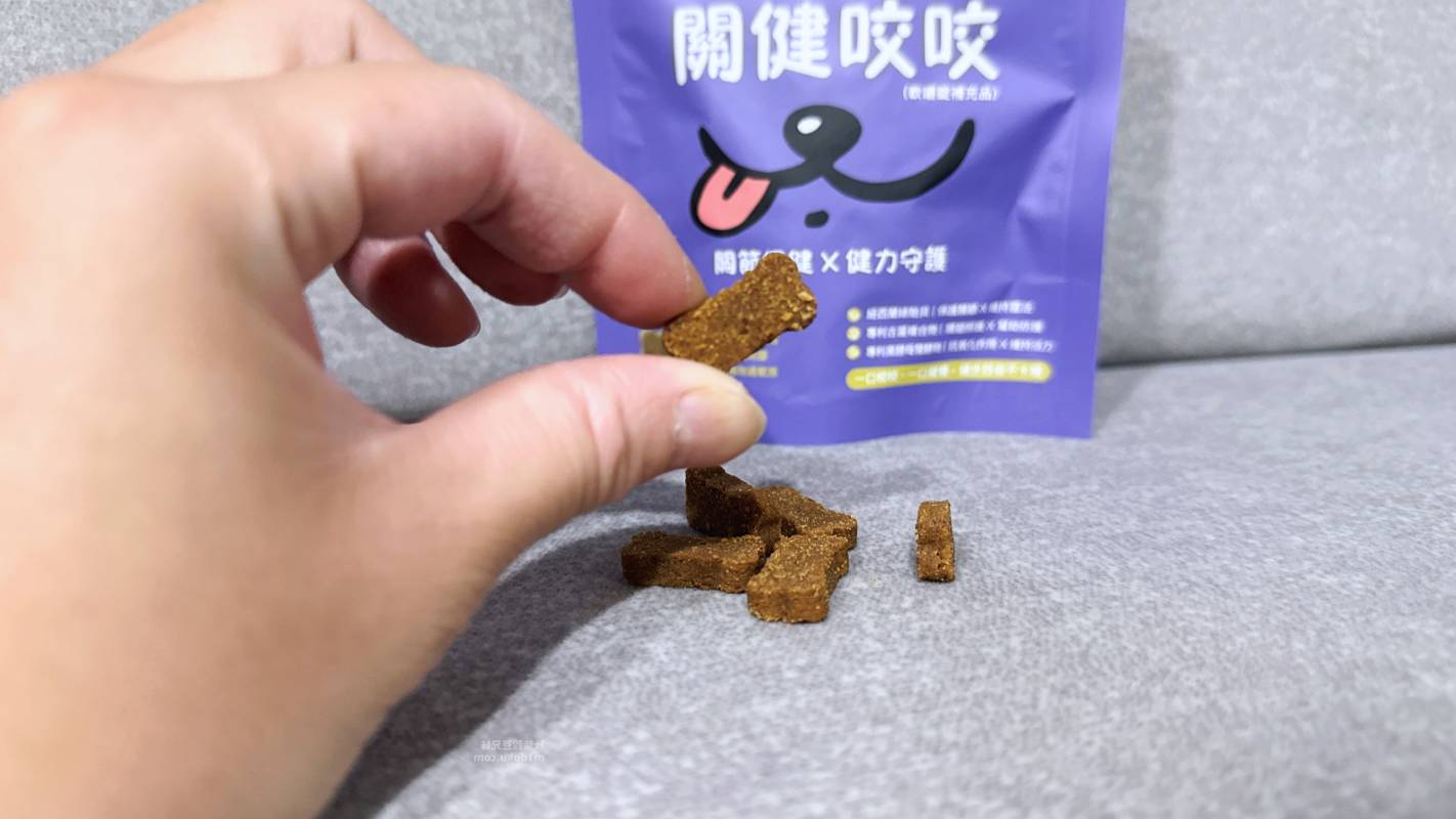寵物零食型保健品推薦 ZuzuBits 滋滋比 FlexiBites 關健咬咬軟嚼錠｜好餵的保健品 軟Q好嚼好入口 毛孩關節保健品開箱 軟嚼錠推薦