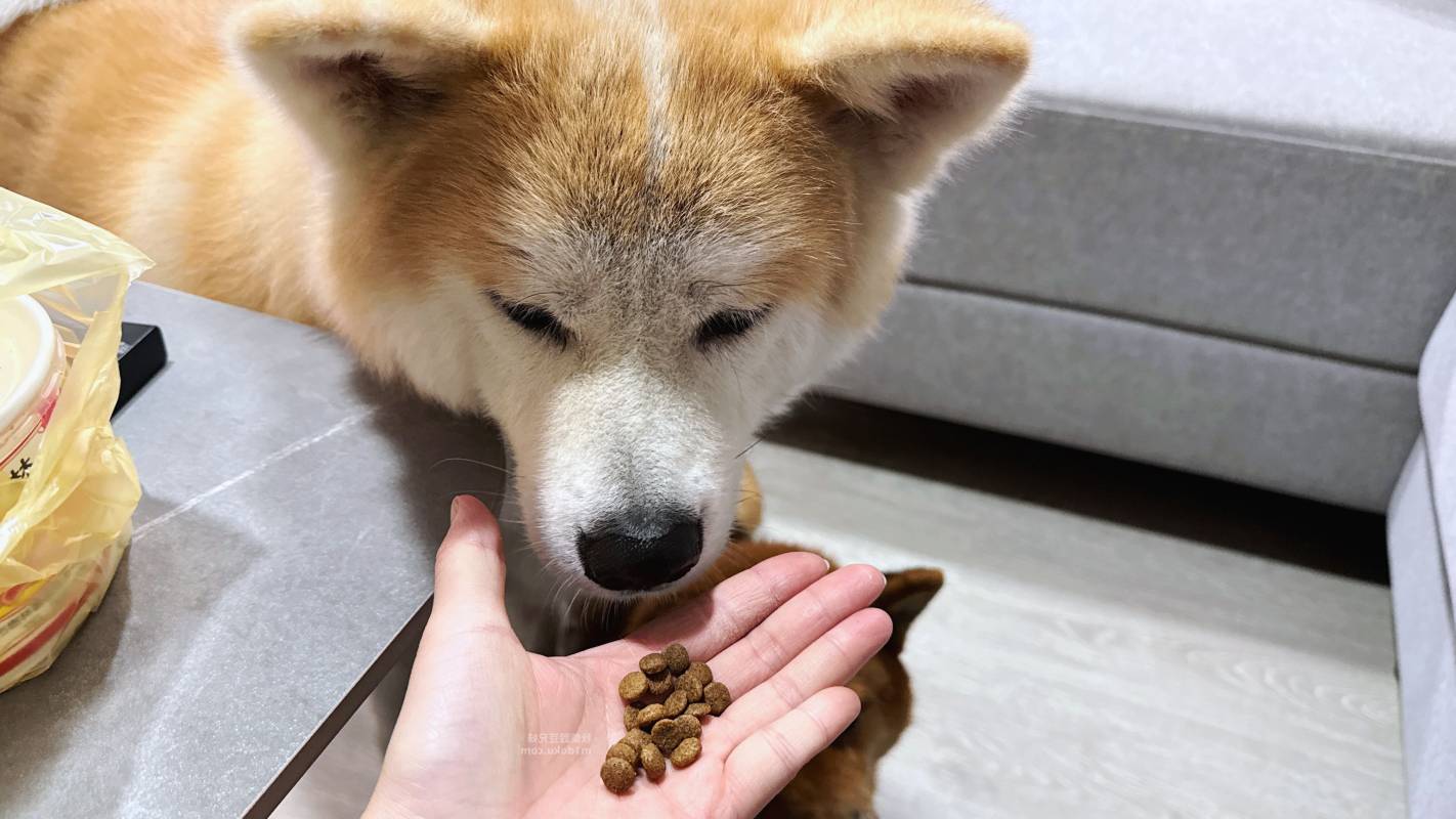 【陪心寵糧評價】Pawful陪飽糧 全齡犬乾糧|Pawful陪飽糧開箱實測 高蛋白低穀飼料分享+寵物飲食控制飼料推薦 - 第7張圖 【陪心寵糧評價】Pawful陪飽糧 全齡犬乾糧|Pawful陪飽糧開箱實測 高蛋白低穀飼料分享+寵物飲食控制飼料推薦
