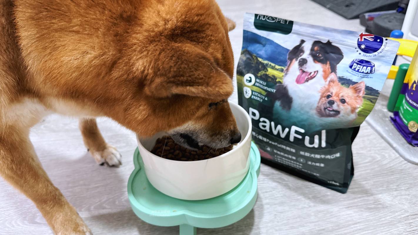 【陪心寵糧評價】Pawful陪飽糧 全齡犬乾糧|Pawful陪飽糧開箱實測 高蛋白低穀飼料分享+寵物飲食控制飼料推薦 - 第10張圖 【陪心寵糧評價】Pawful陪飽糧 全齡犬乾糧|Pawful陪飽糧開箱實測 高蛋白低穀飼料分享+寵物飲食控制飼料推薦