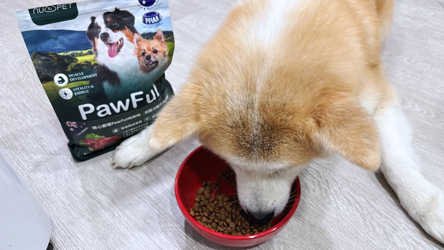 【陪心寵糧評價】Pawful陪飽糧 全齡犬乾糧|Pawful陪飽糧開箱實測 高蛋白低穀飼料分享+寵物飲食控制飼料推薦 - 第2張圖 【陪心寵糧評價】Pawful陪飽糧 全齡犬乾糧|Pawful陪飽糧開箱實測 高蛋白低穀飼料分享+寵物飲食控制飼料推薦
