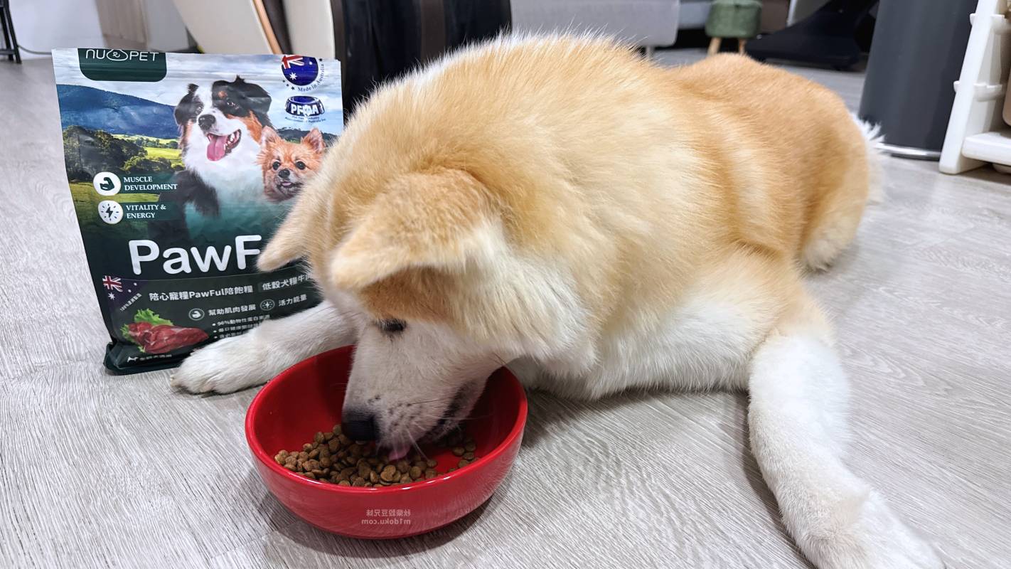 【陪心寵糧評價】Pawful陪飽糧 全齡犬乾糧|Pawful陪飽糧開箱實測 高蛋白低穀飼料分享+寵物飲食控制飼料推薦 - 第9張圖 【陪心寵糧評價】Pawful陪飽糧 全齡犬乾糧|Pawful陪飽糧開箱實測 高蛋白低穀飼料分享+寵物飲食控制飼料推薦